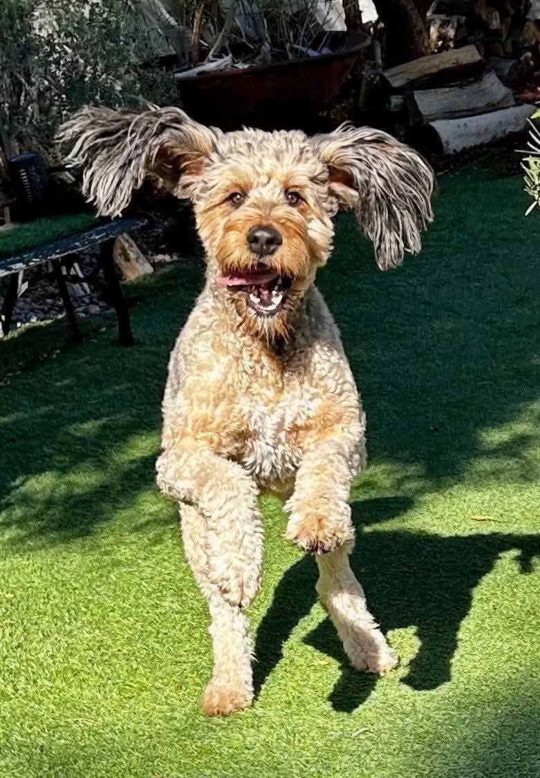 Ethel