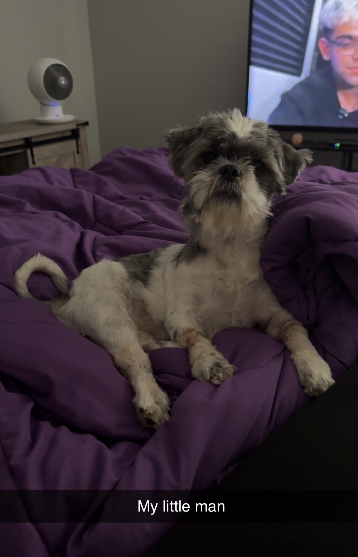 Humphrey