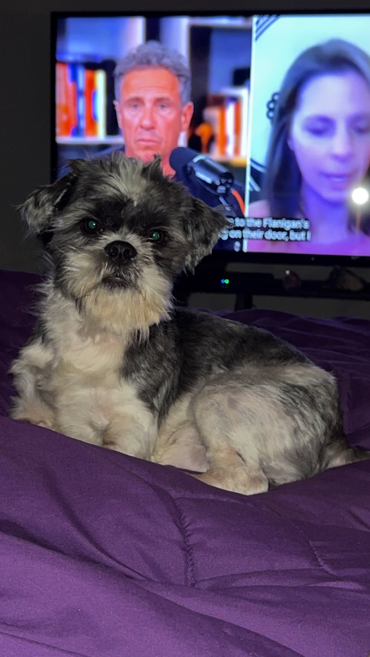 Humphrey