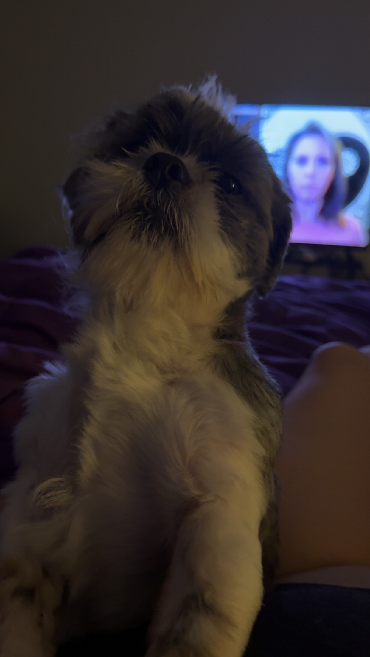 Humphrey
