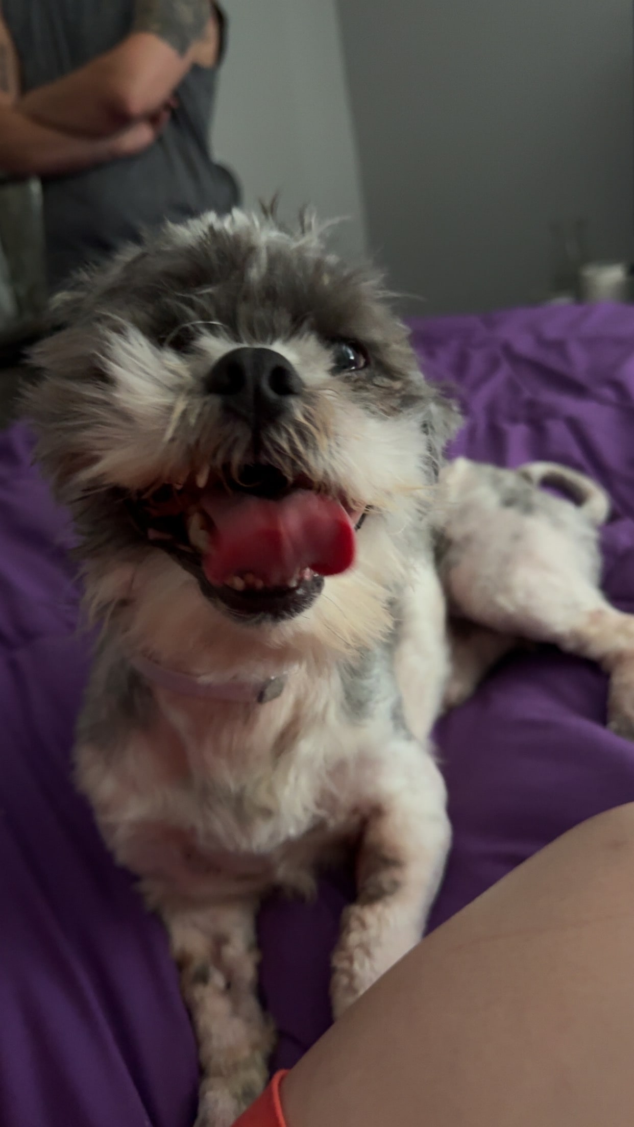 Humphrey