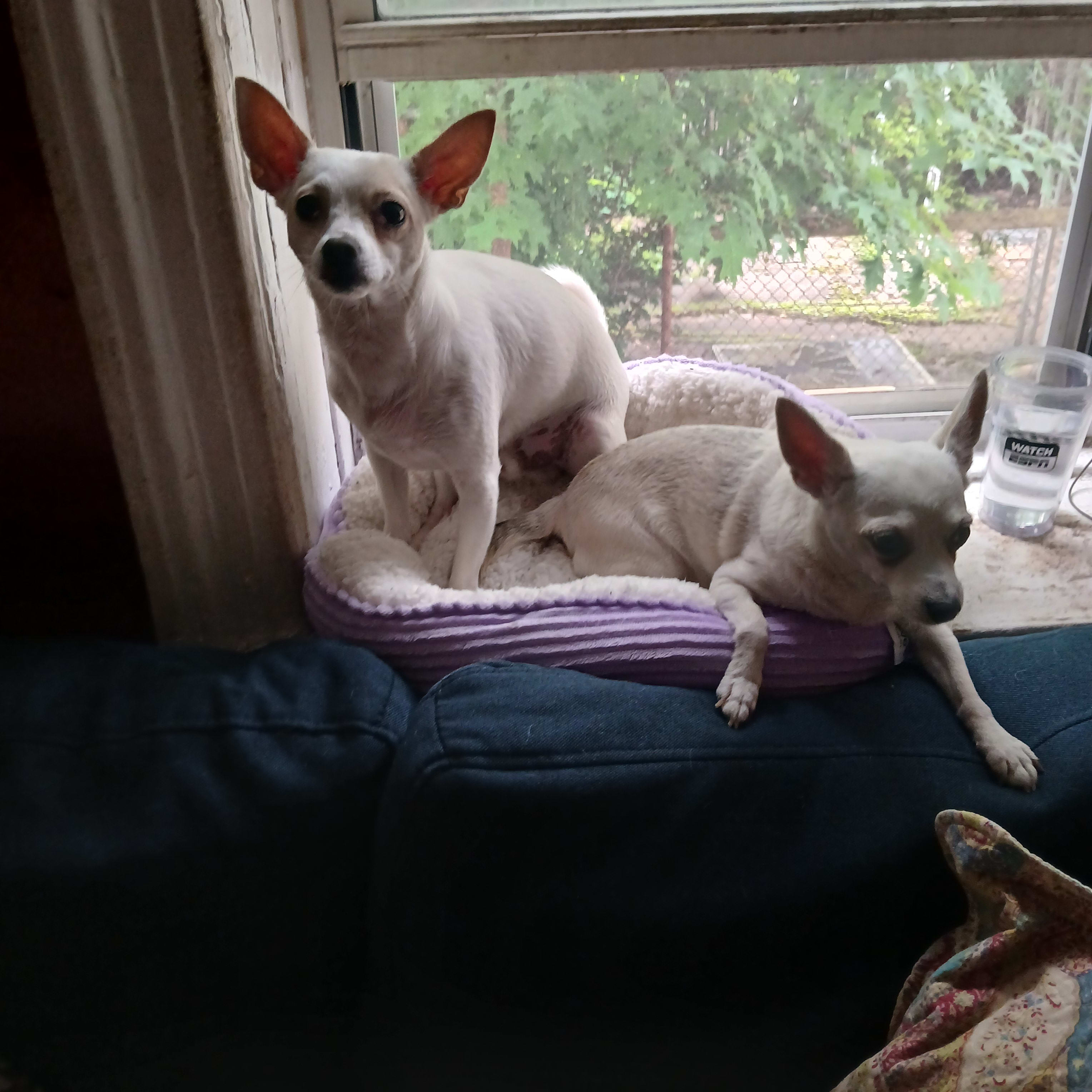 Aruther and Dante