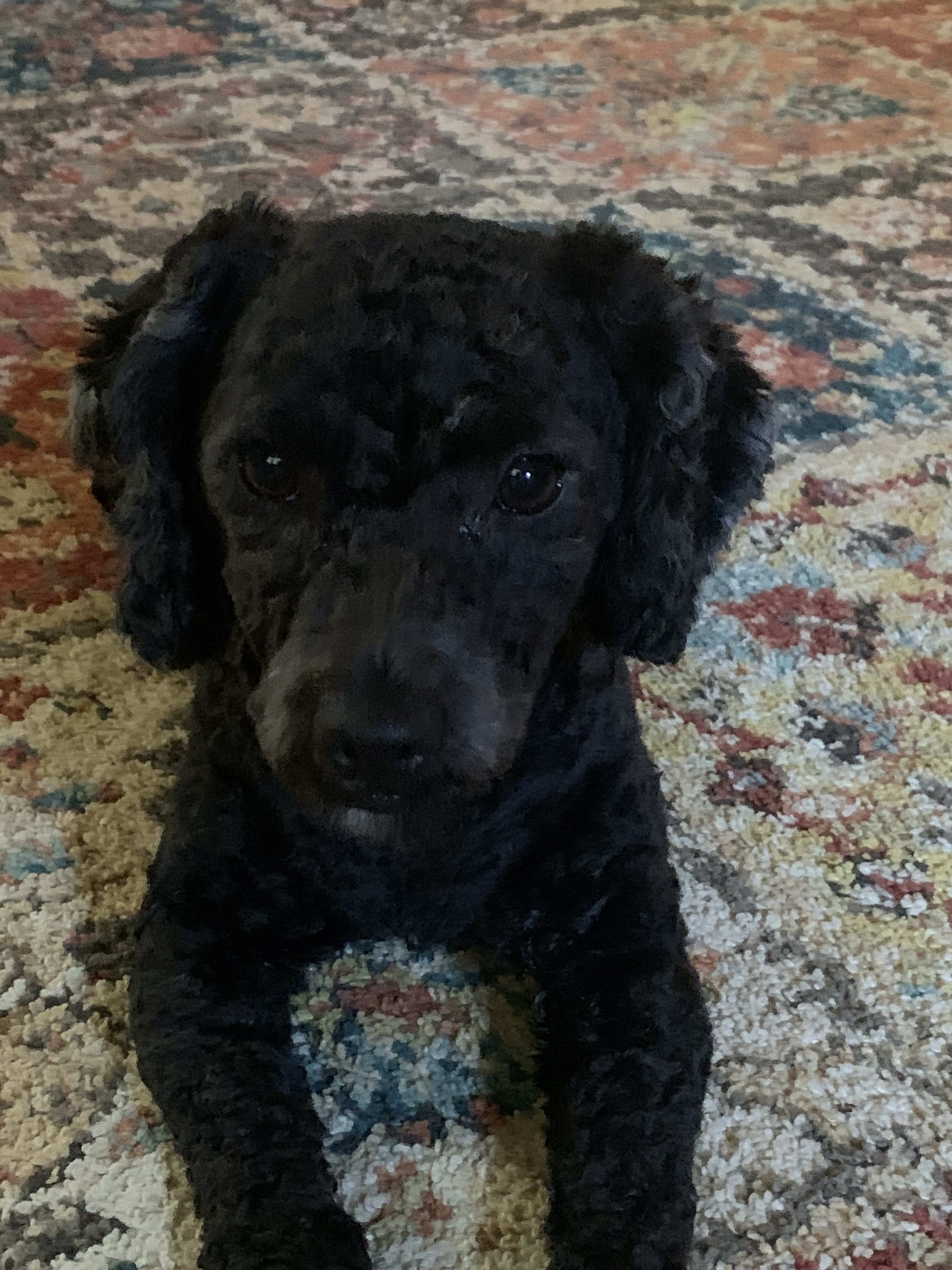 Walter