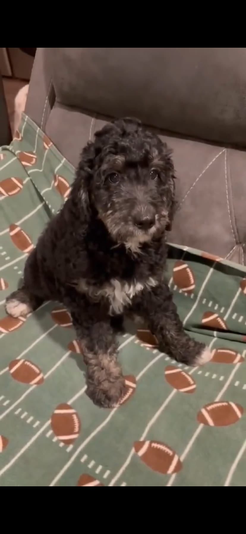 Zoe