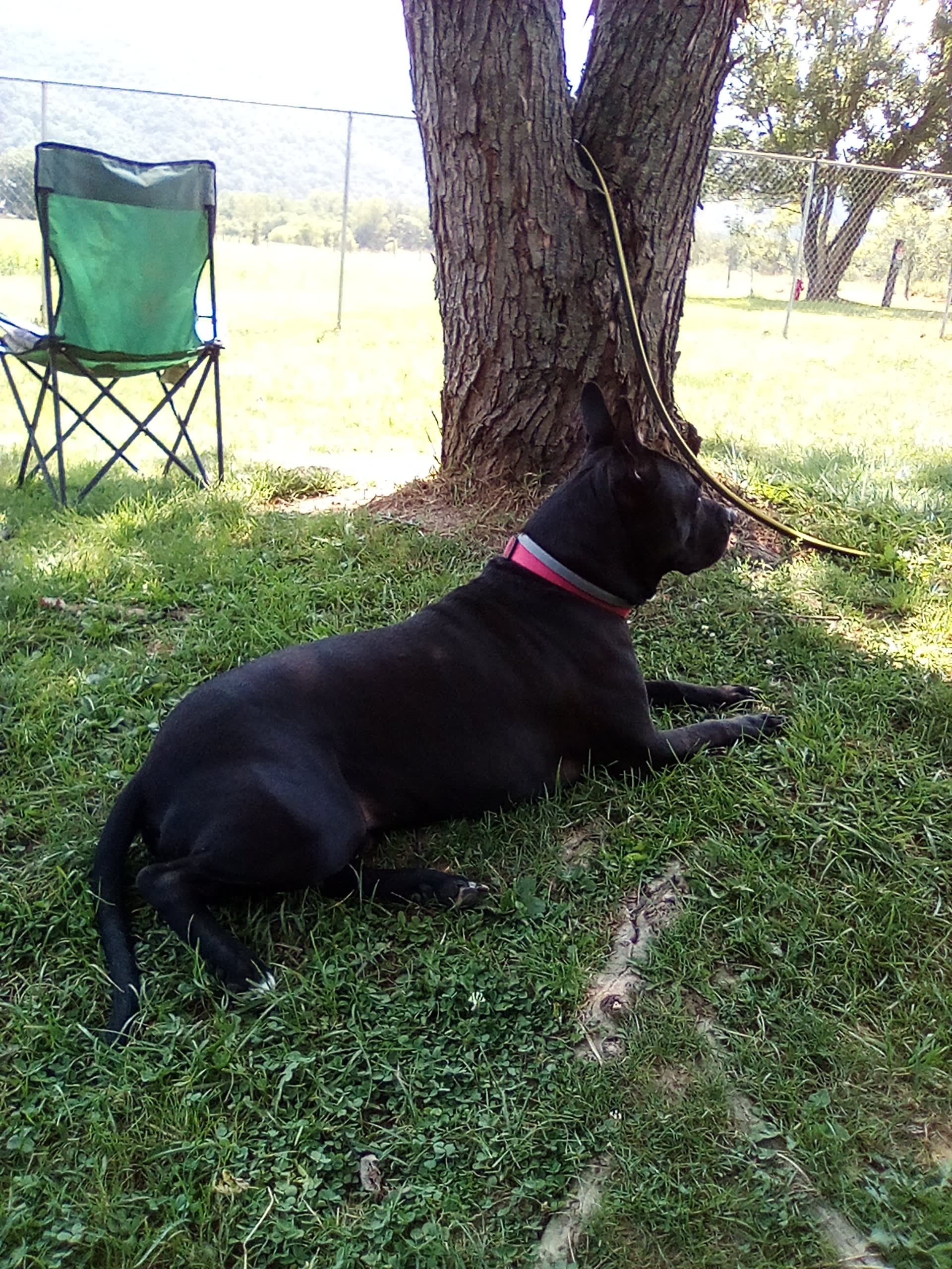 Hickory aka Mr Man Hickory aka Mr Man