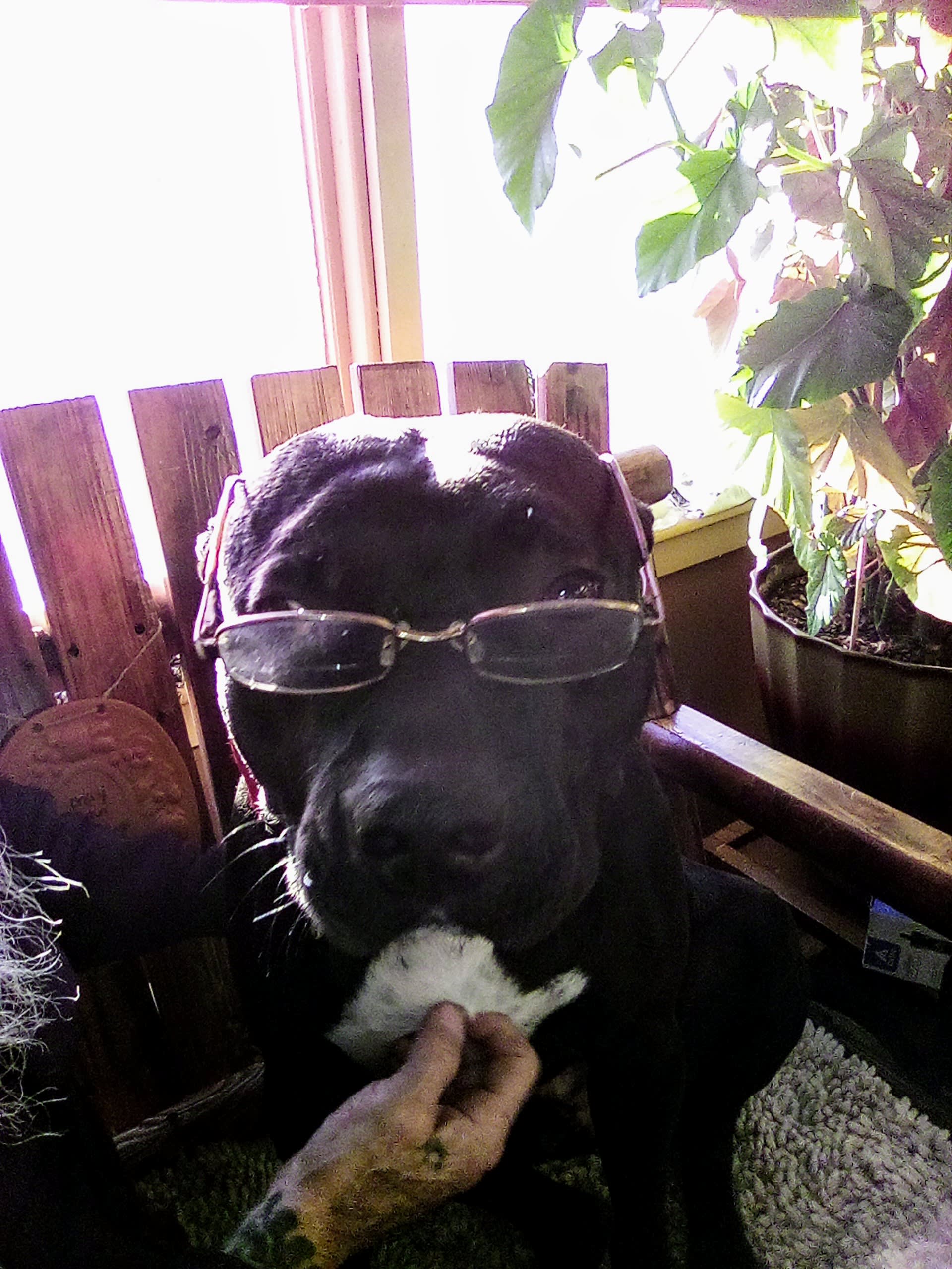 Hickory aka Mr Man Hickory aka Mr Man