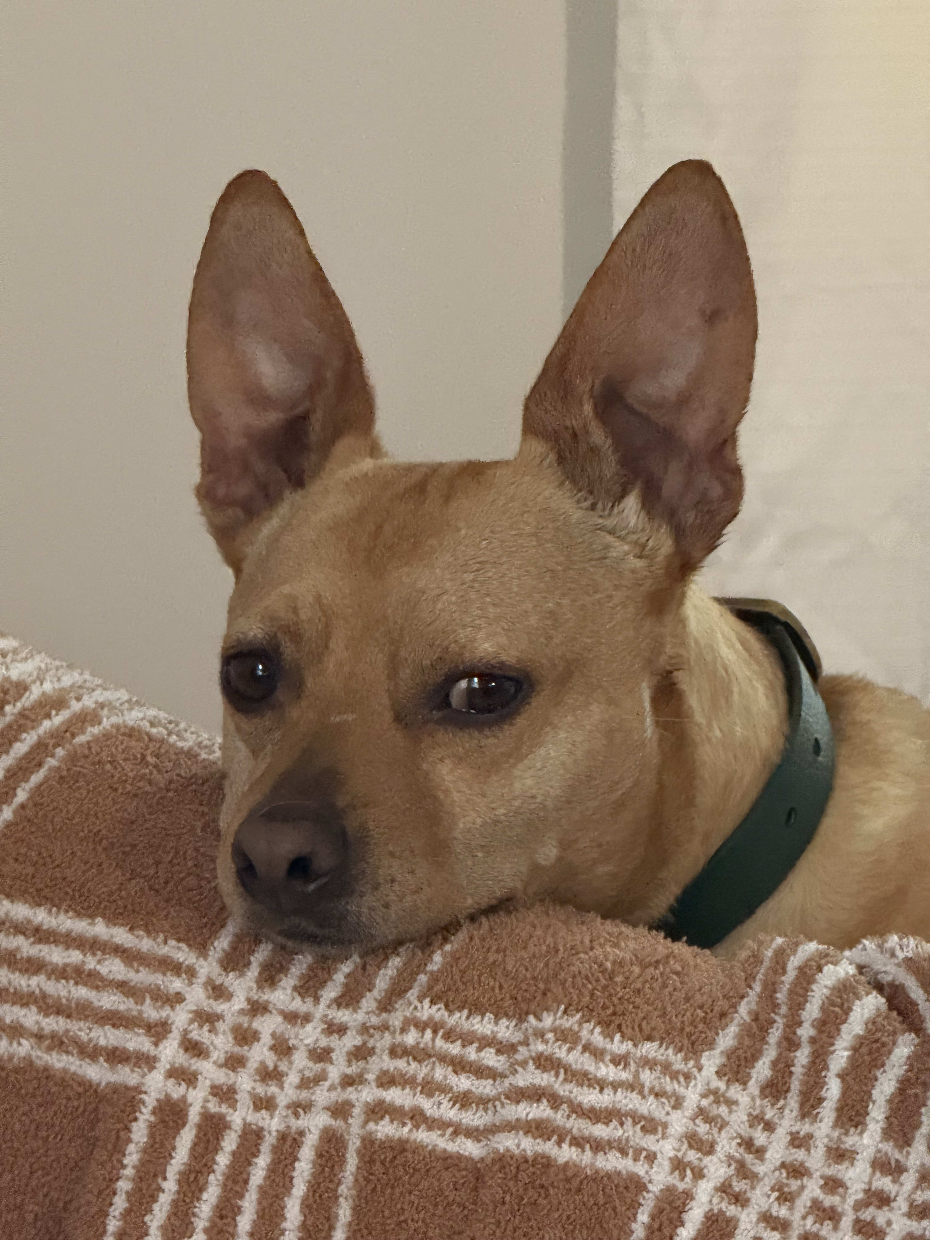 Sergei