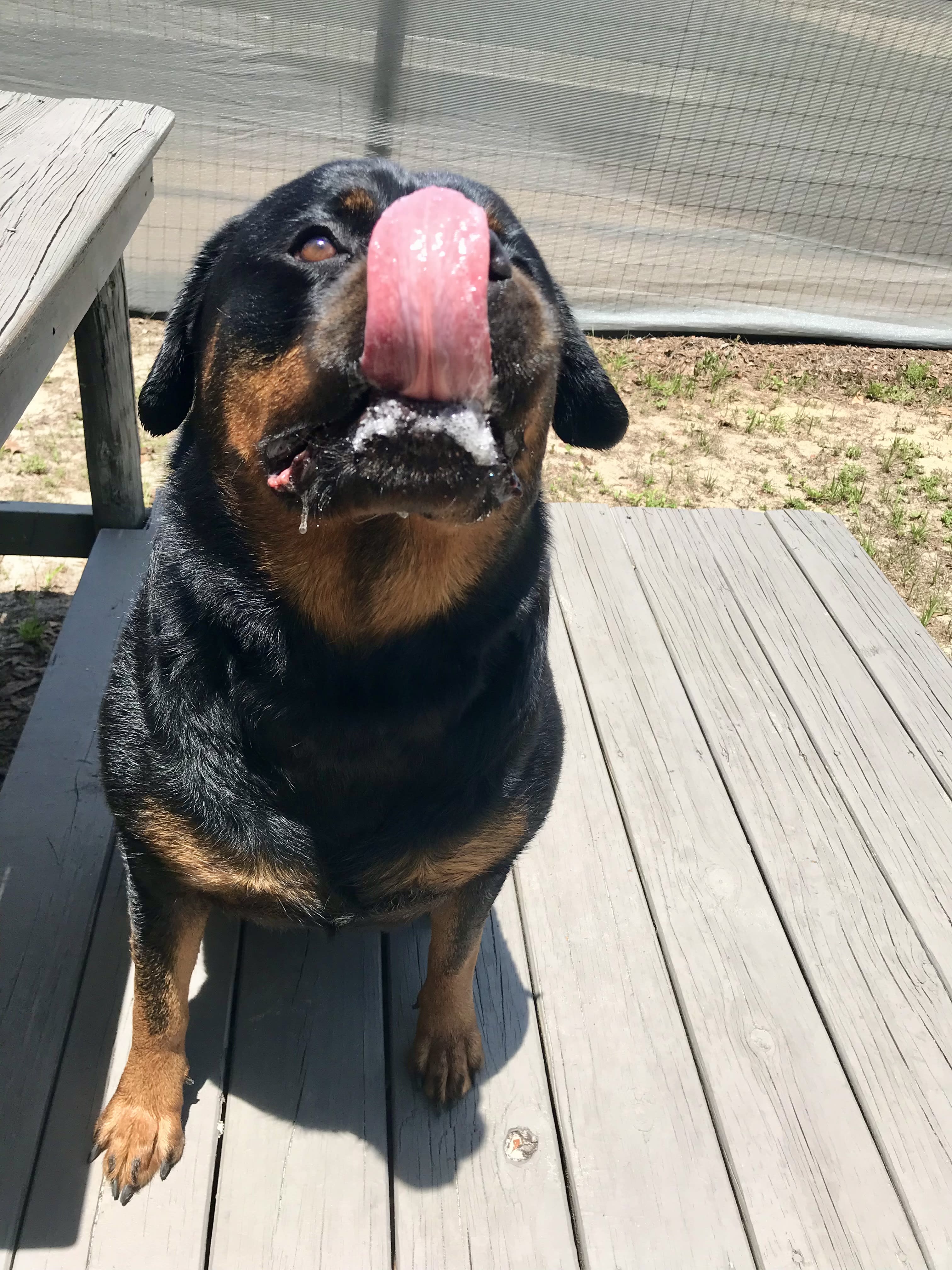 Rosie