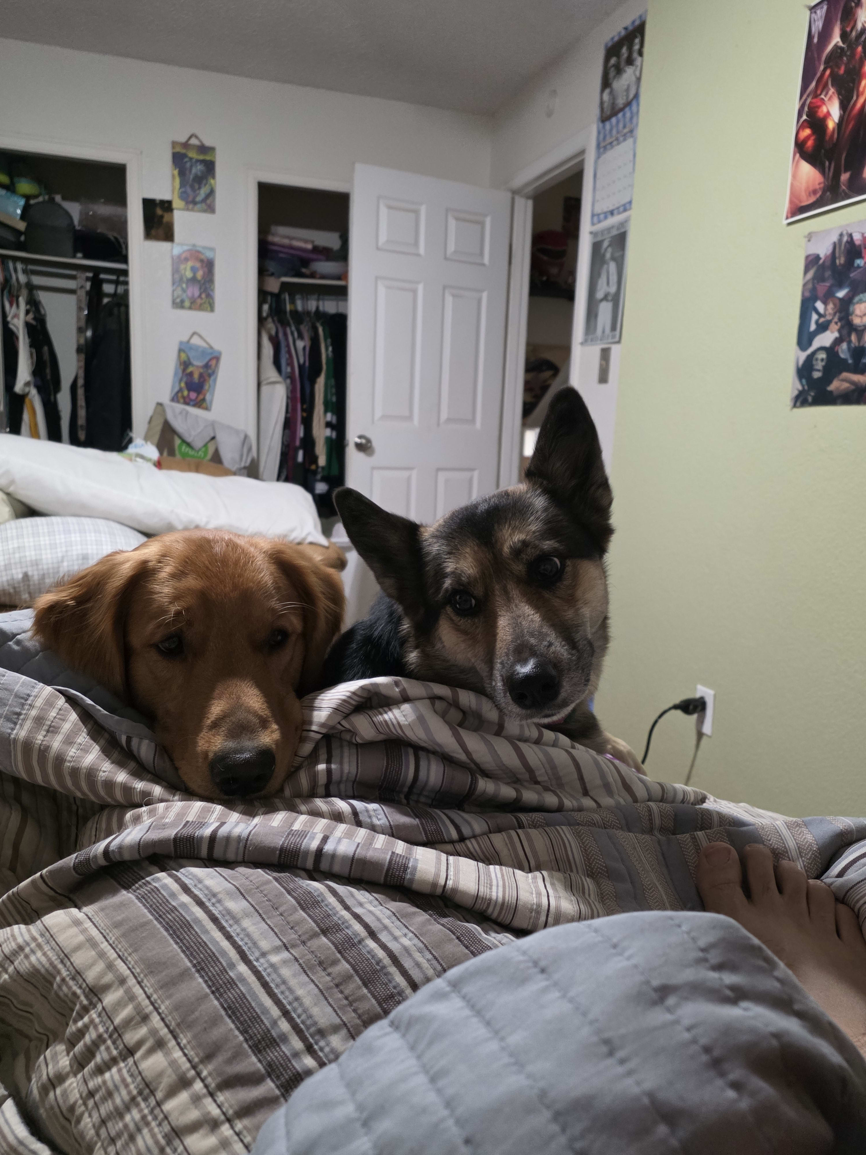 Scooby-Doo Scooby-Doo