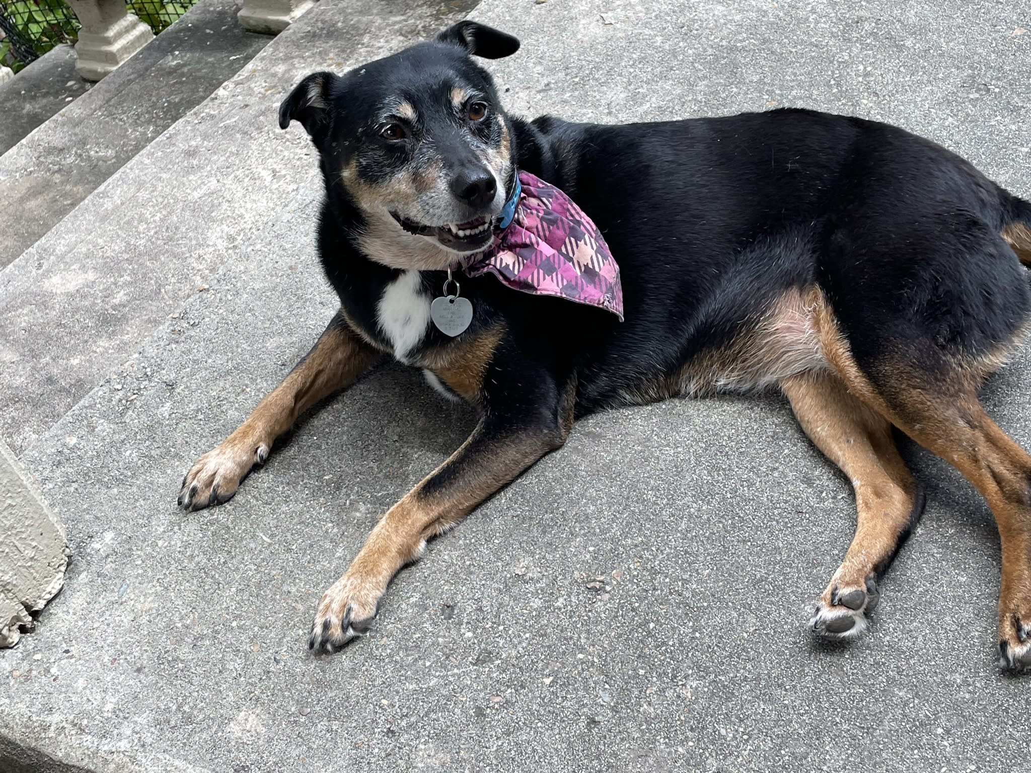 Bella Bella