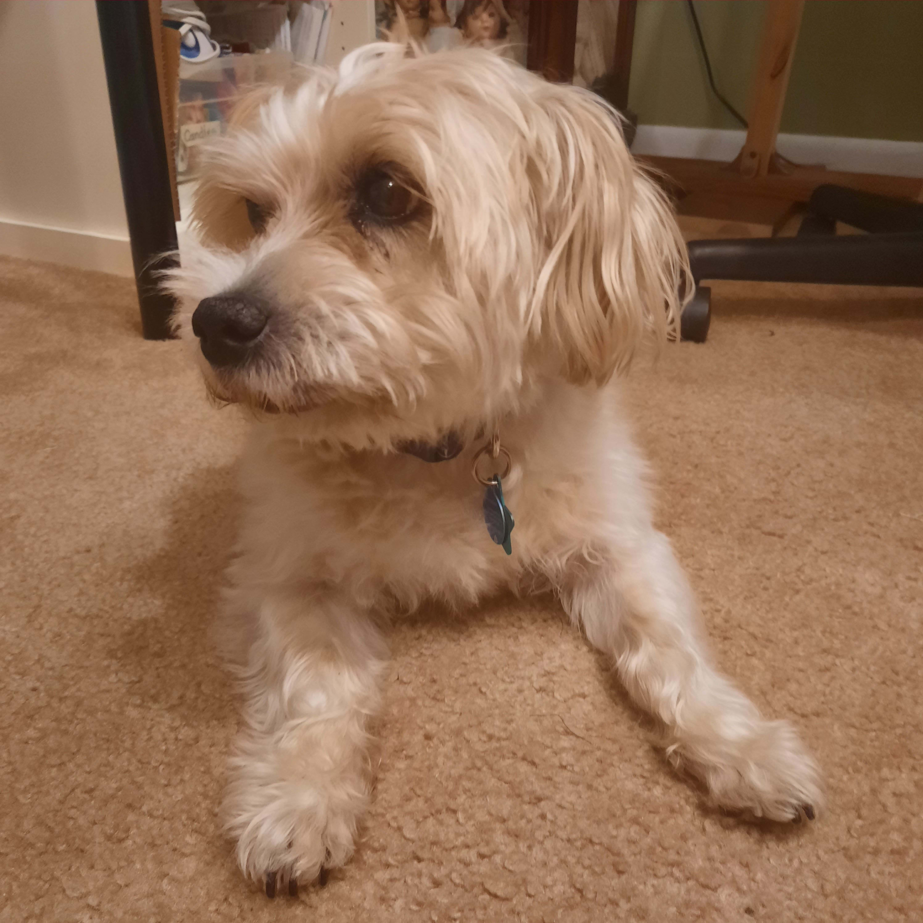 Paco
