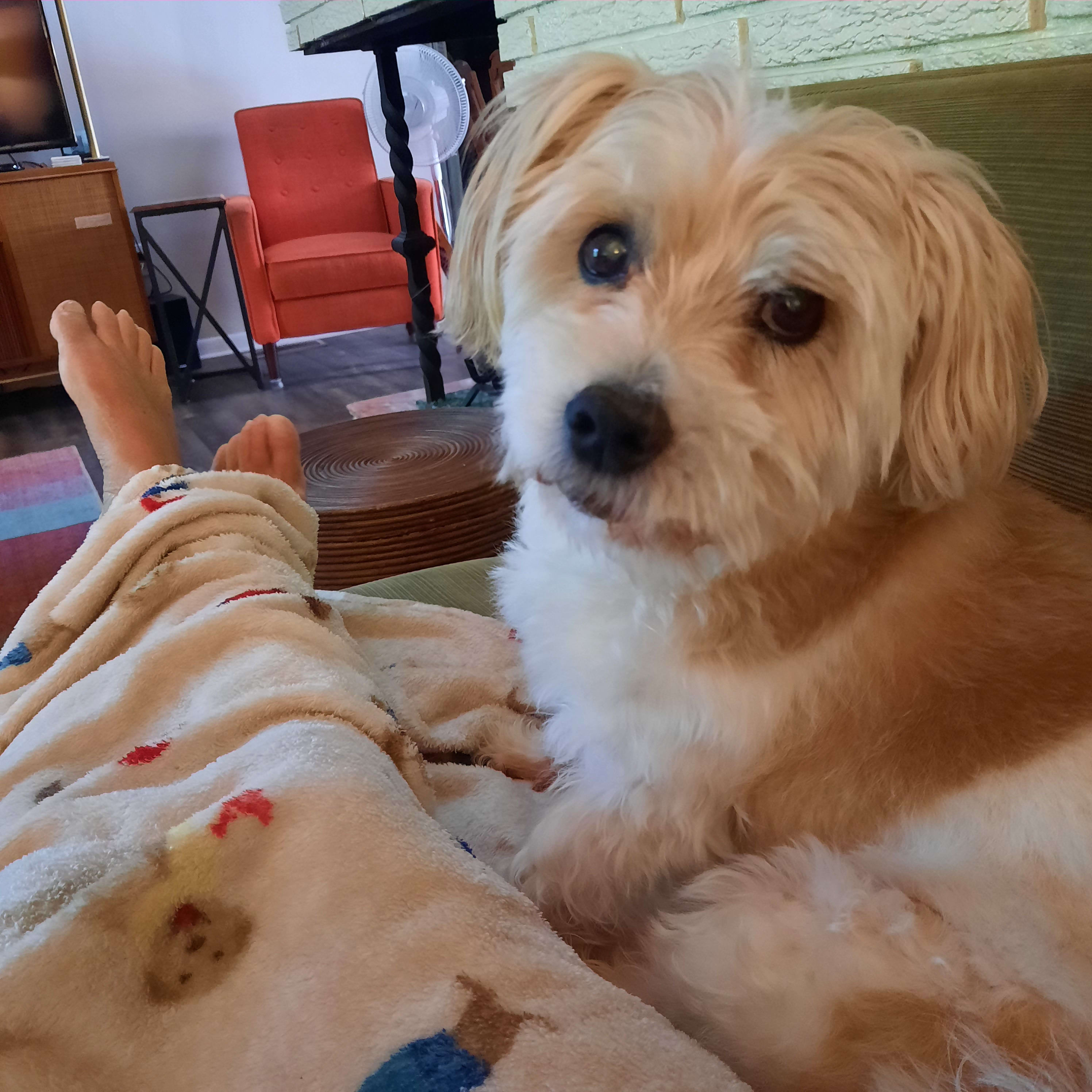 Paco