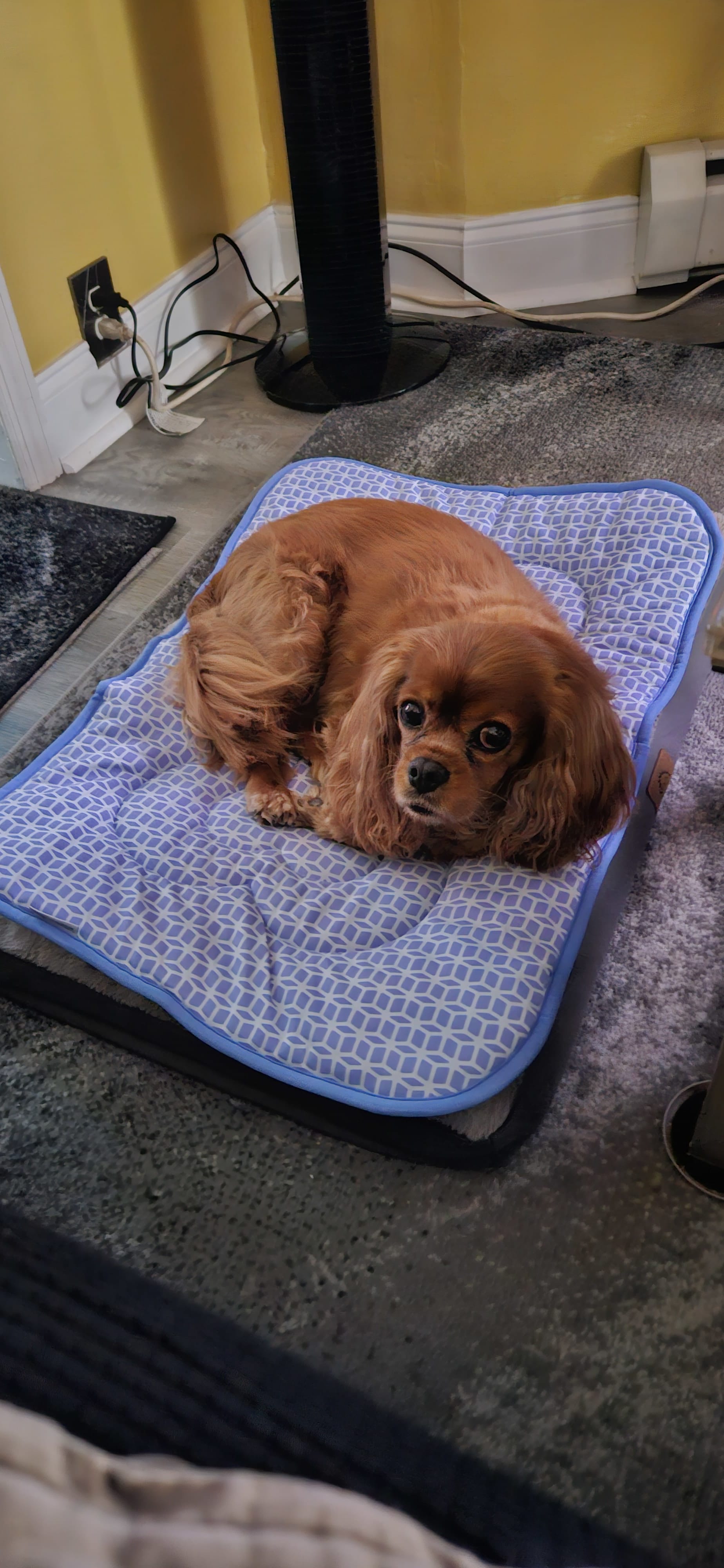 Rosalin and Rocky Rosalin and Rocky