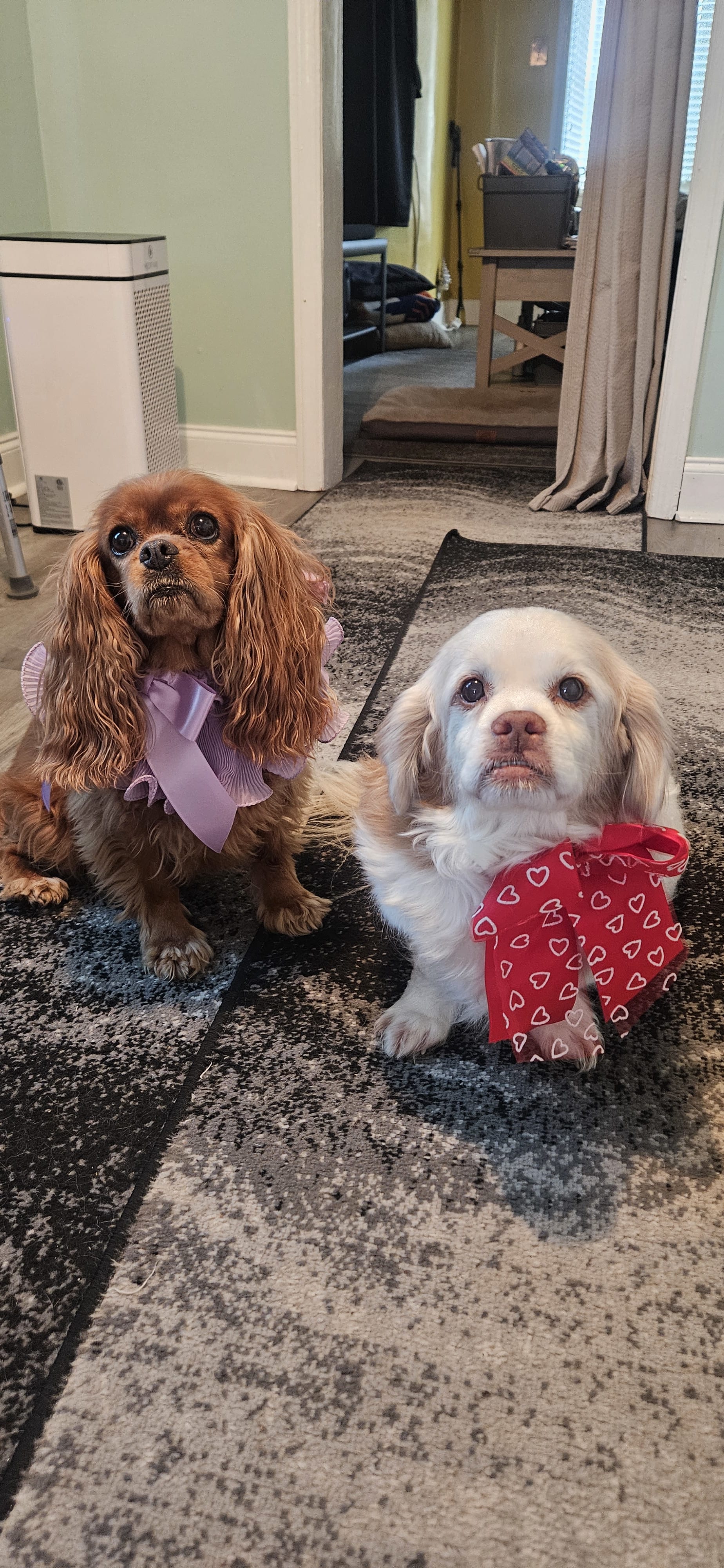 Rosalin and Rocky Rosalin and Rocky