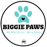 Biggie Paws Rescue