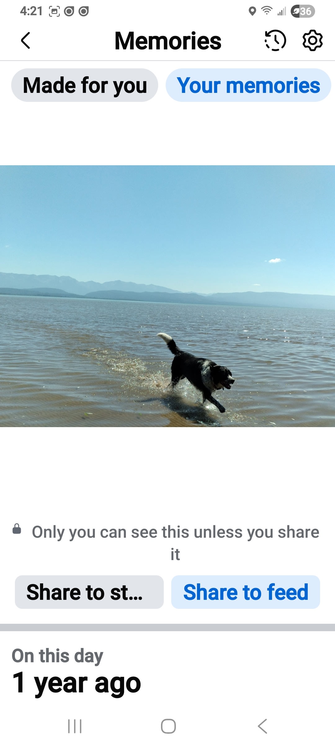 Loki