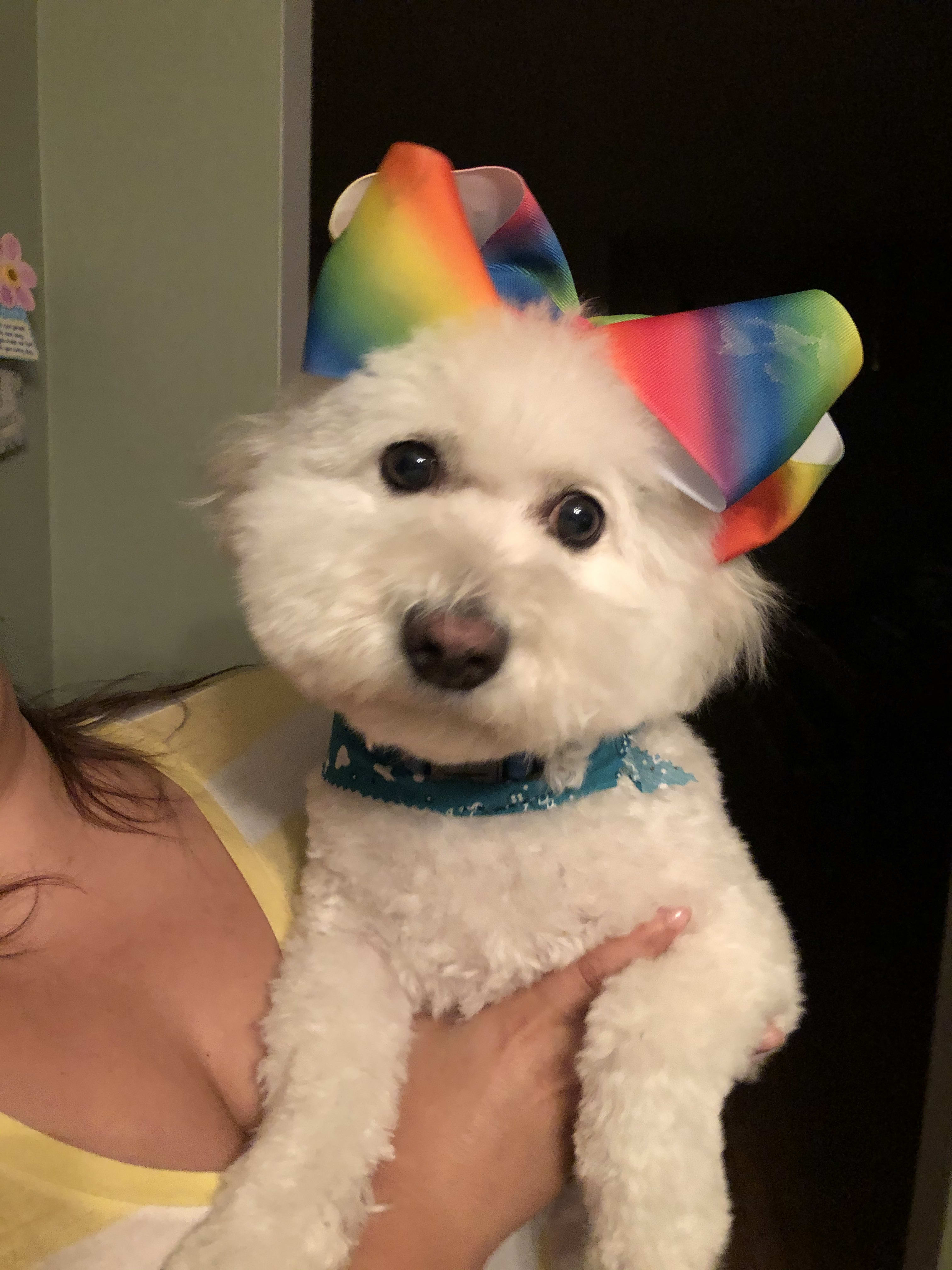 Sulley