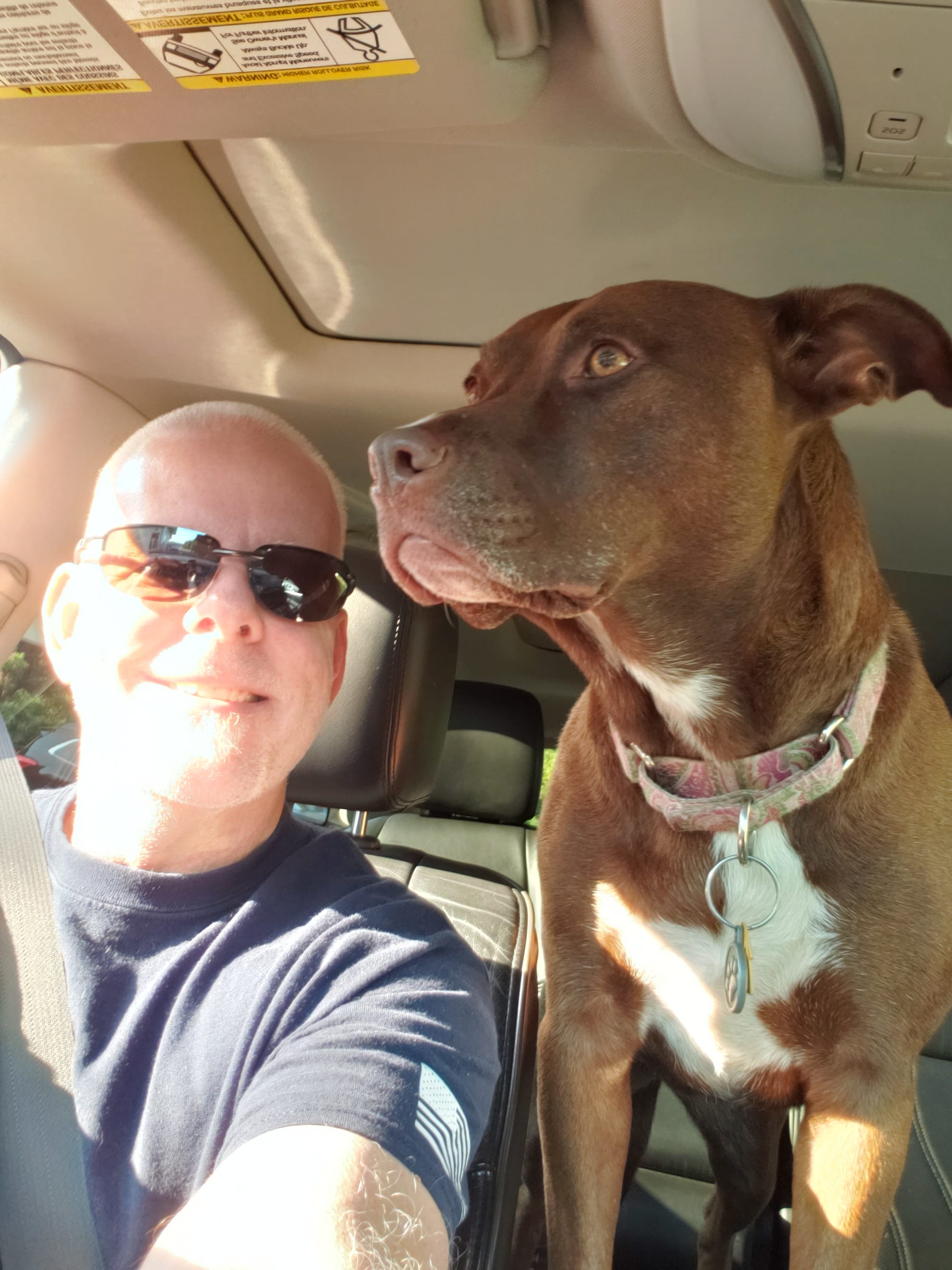 Koda