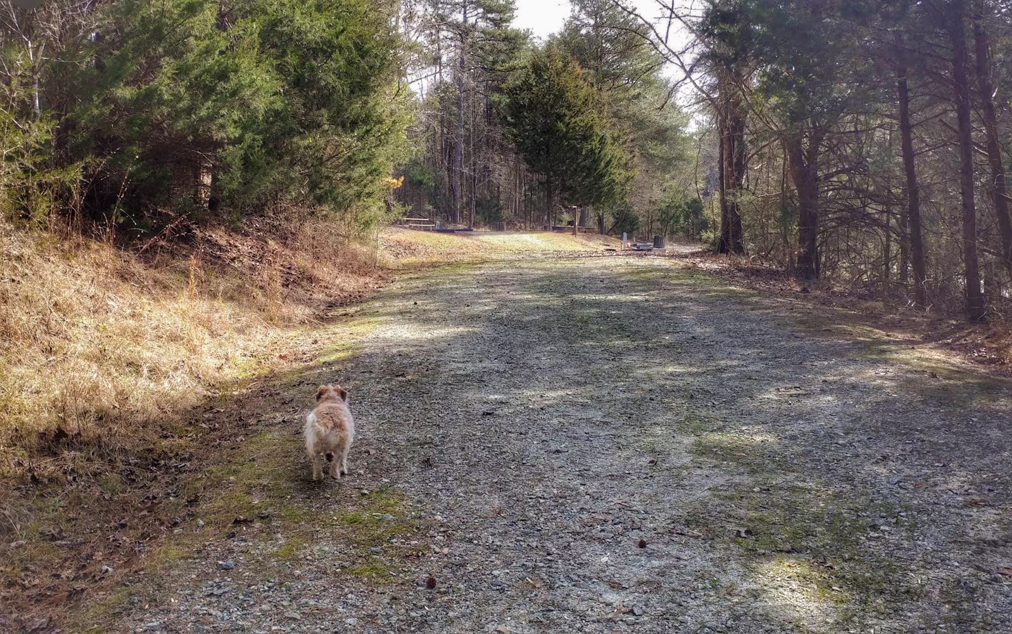 Oscar