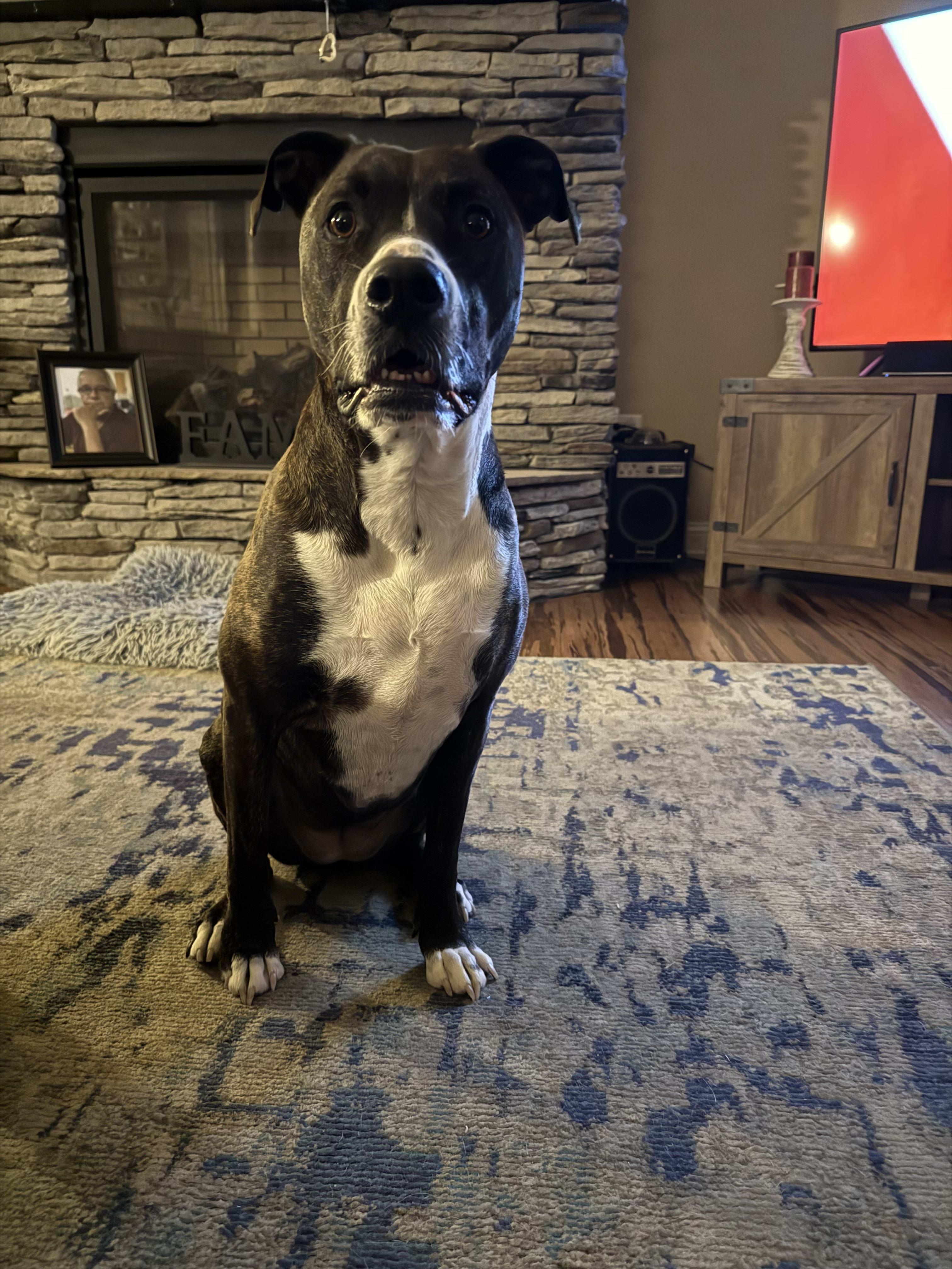 Daisy