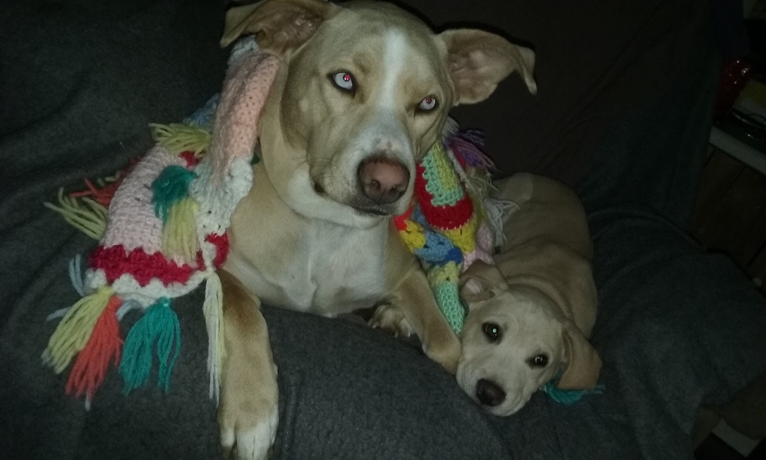 Bree and Duke