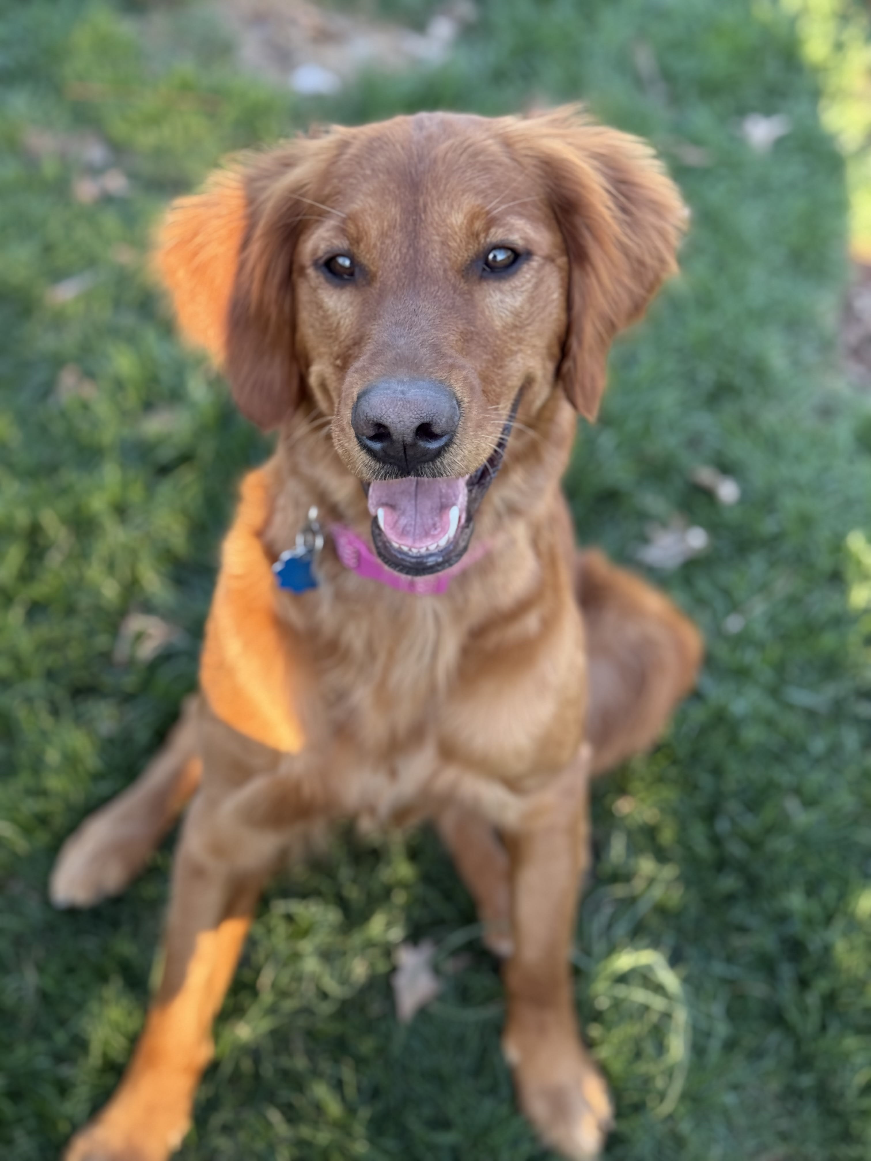Barry and Ginger