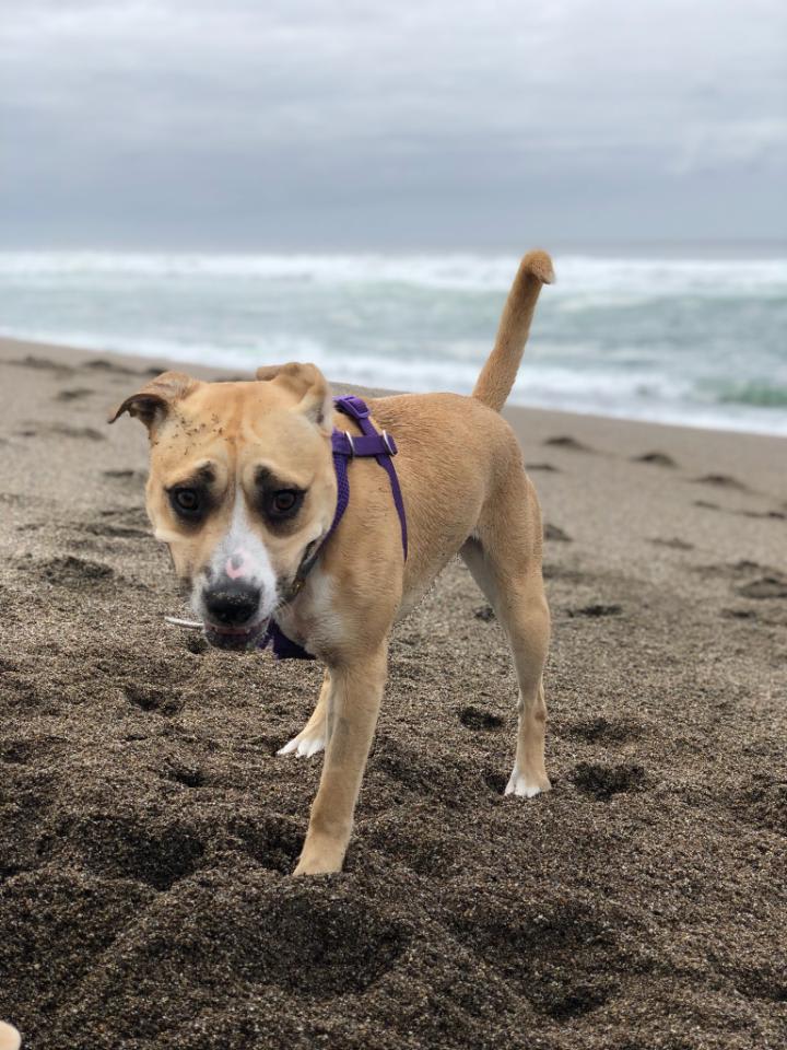 Kiki and freeto