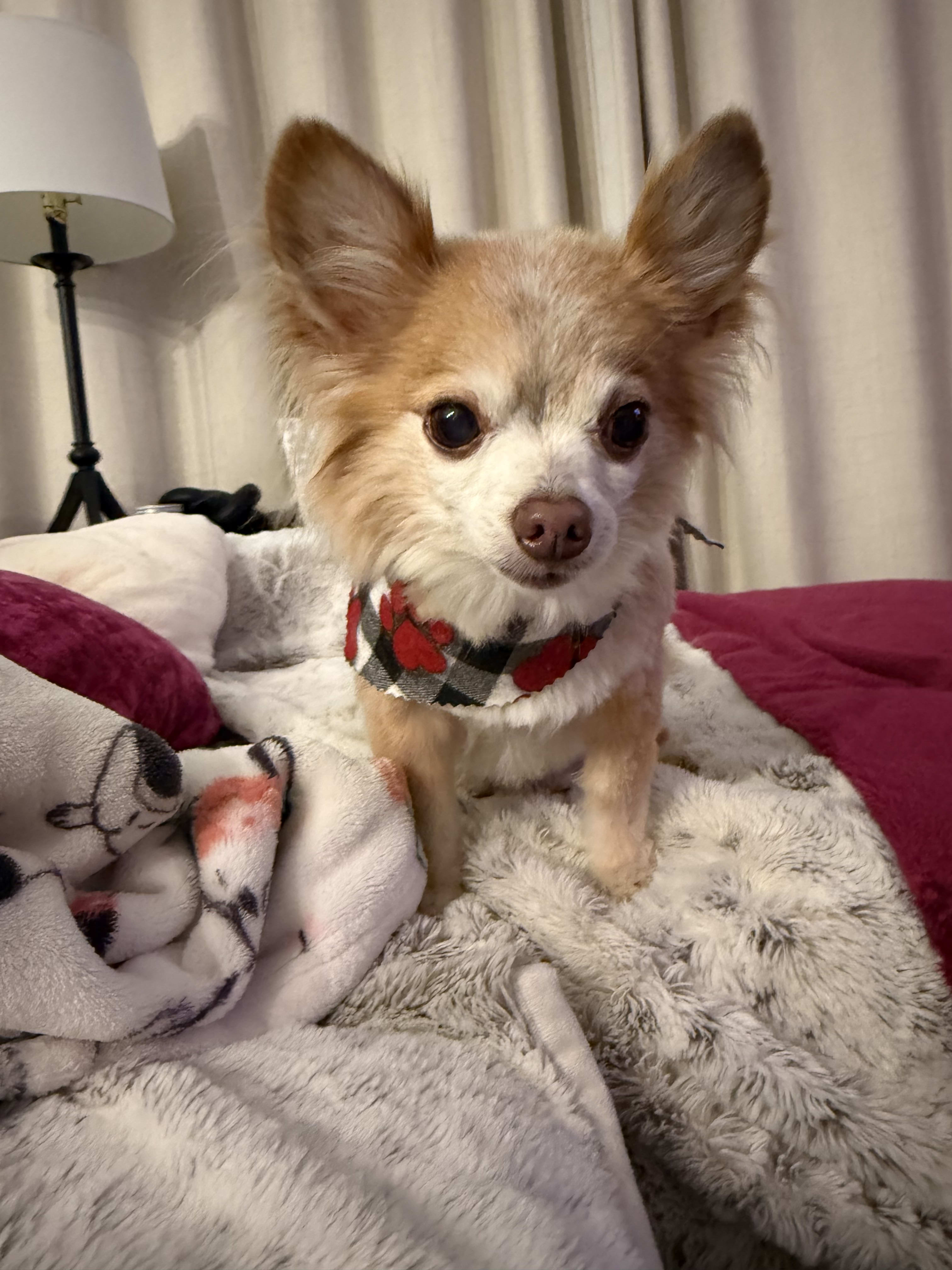 Winnie and Chip
