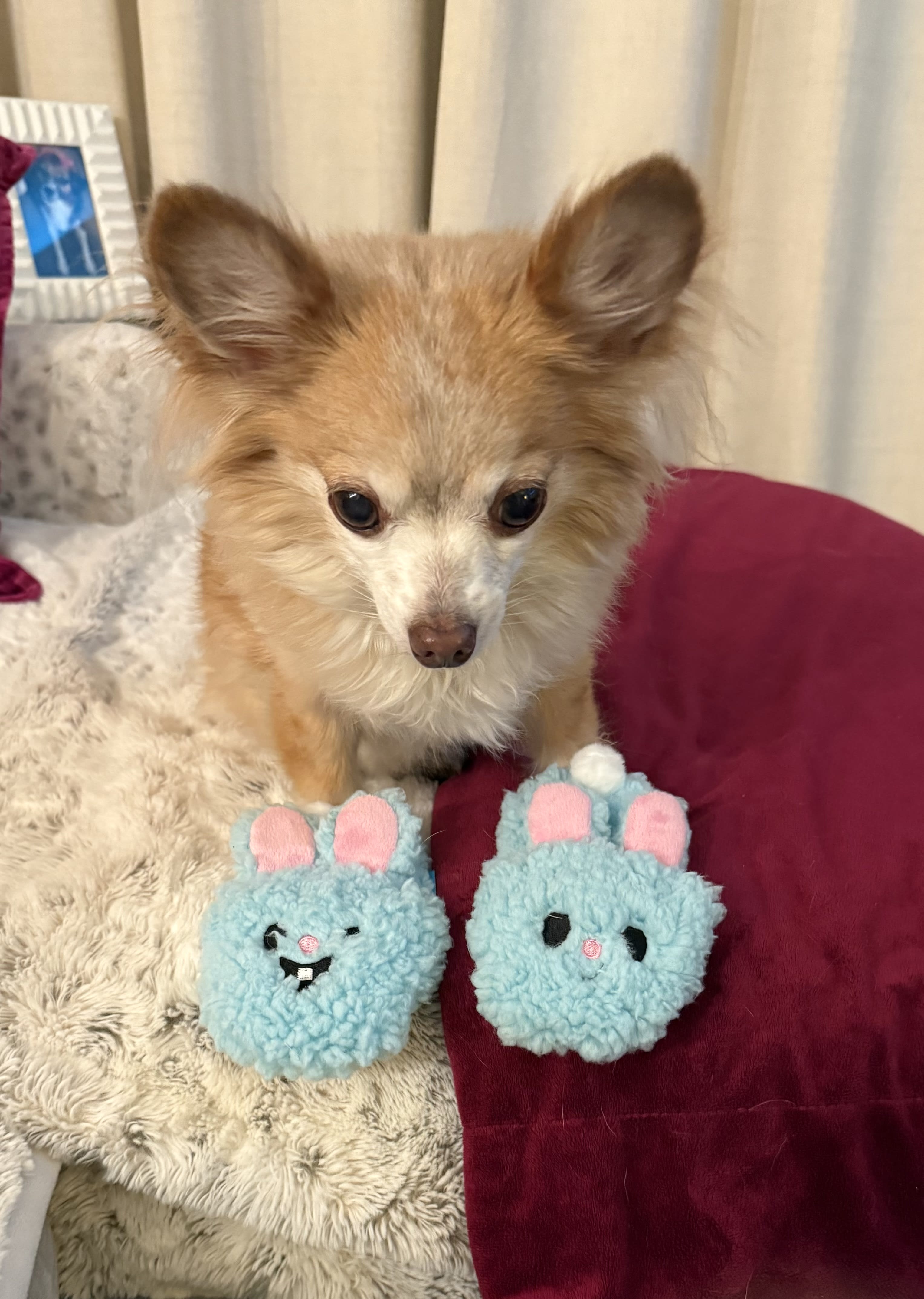 Winnie and Chip
