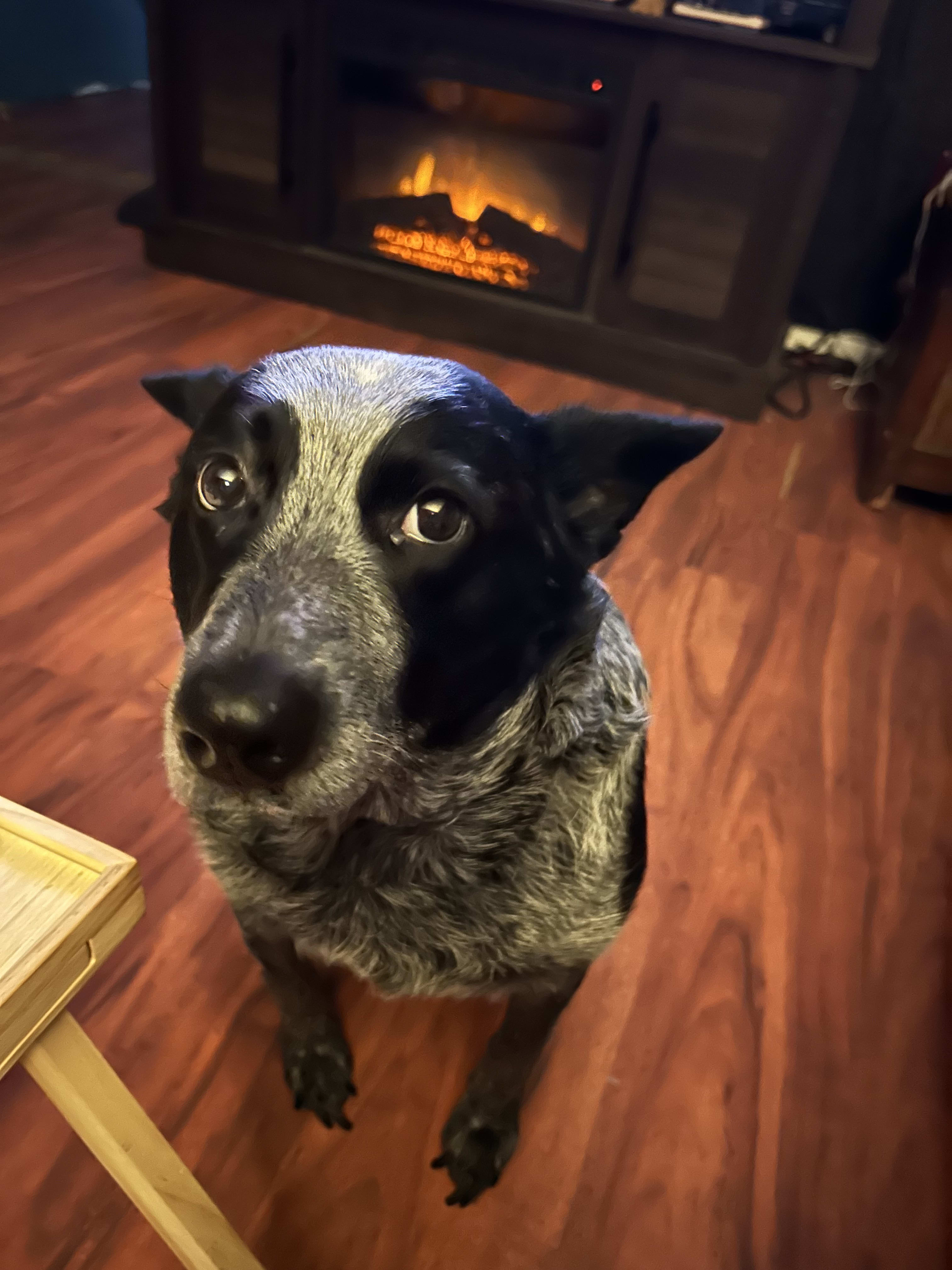 Timber