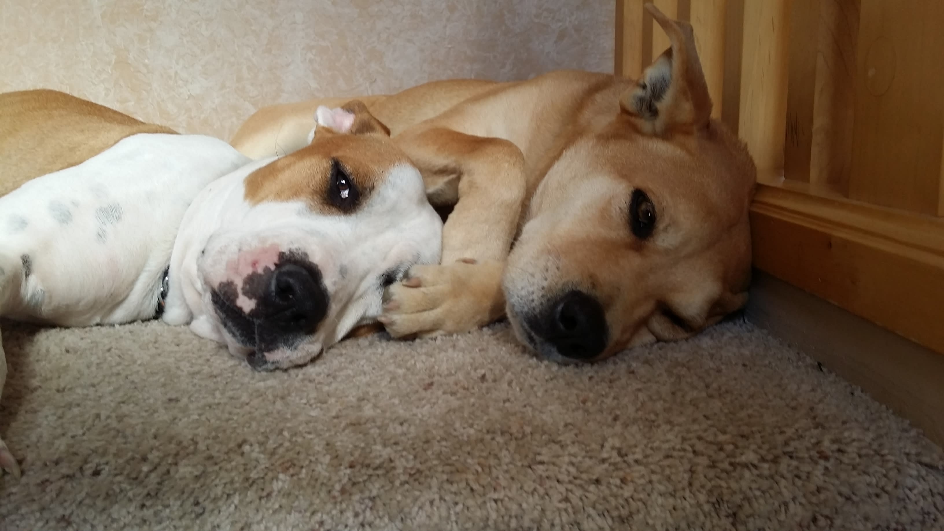 Best Friends