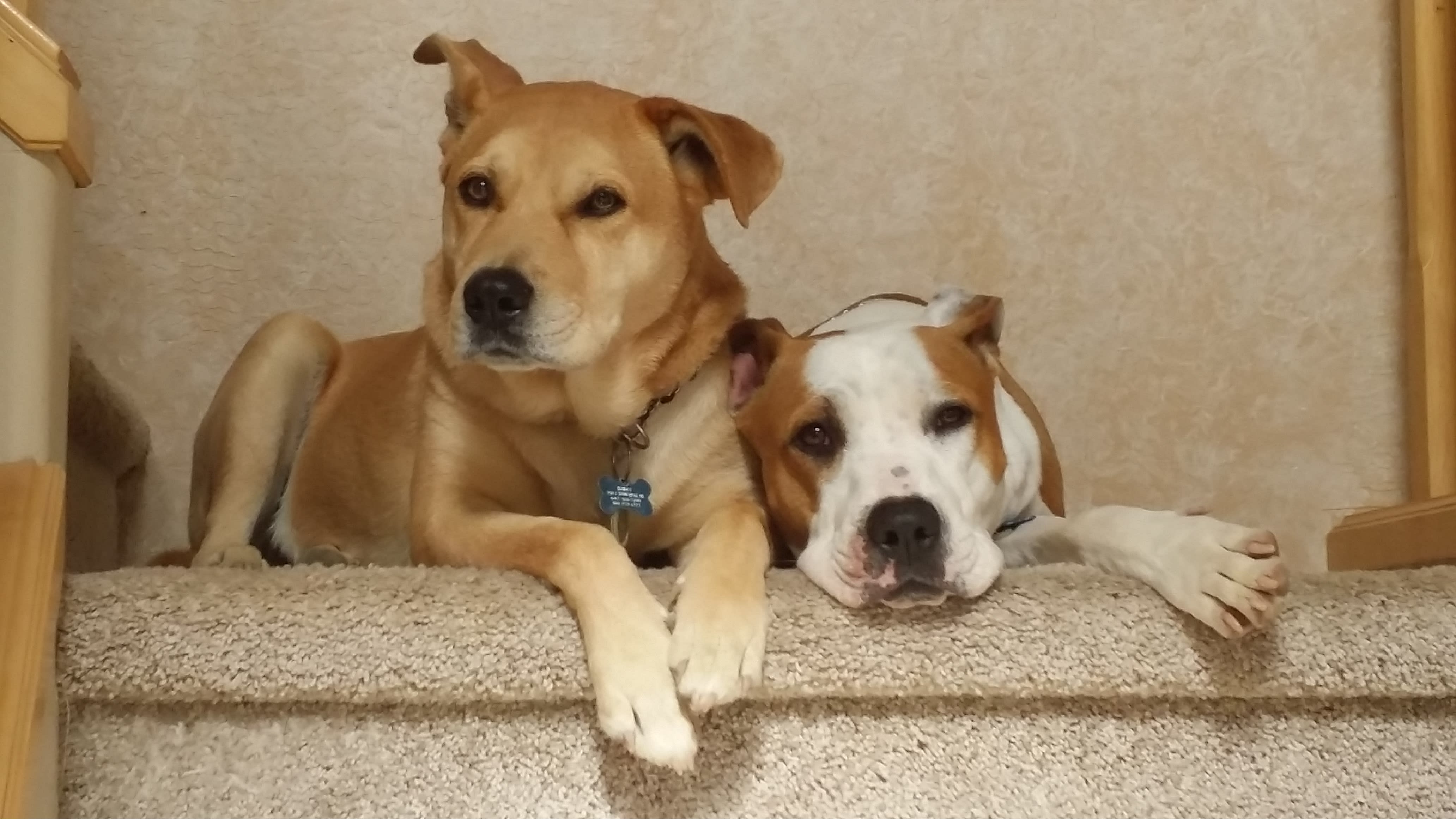 Best Friends