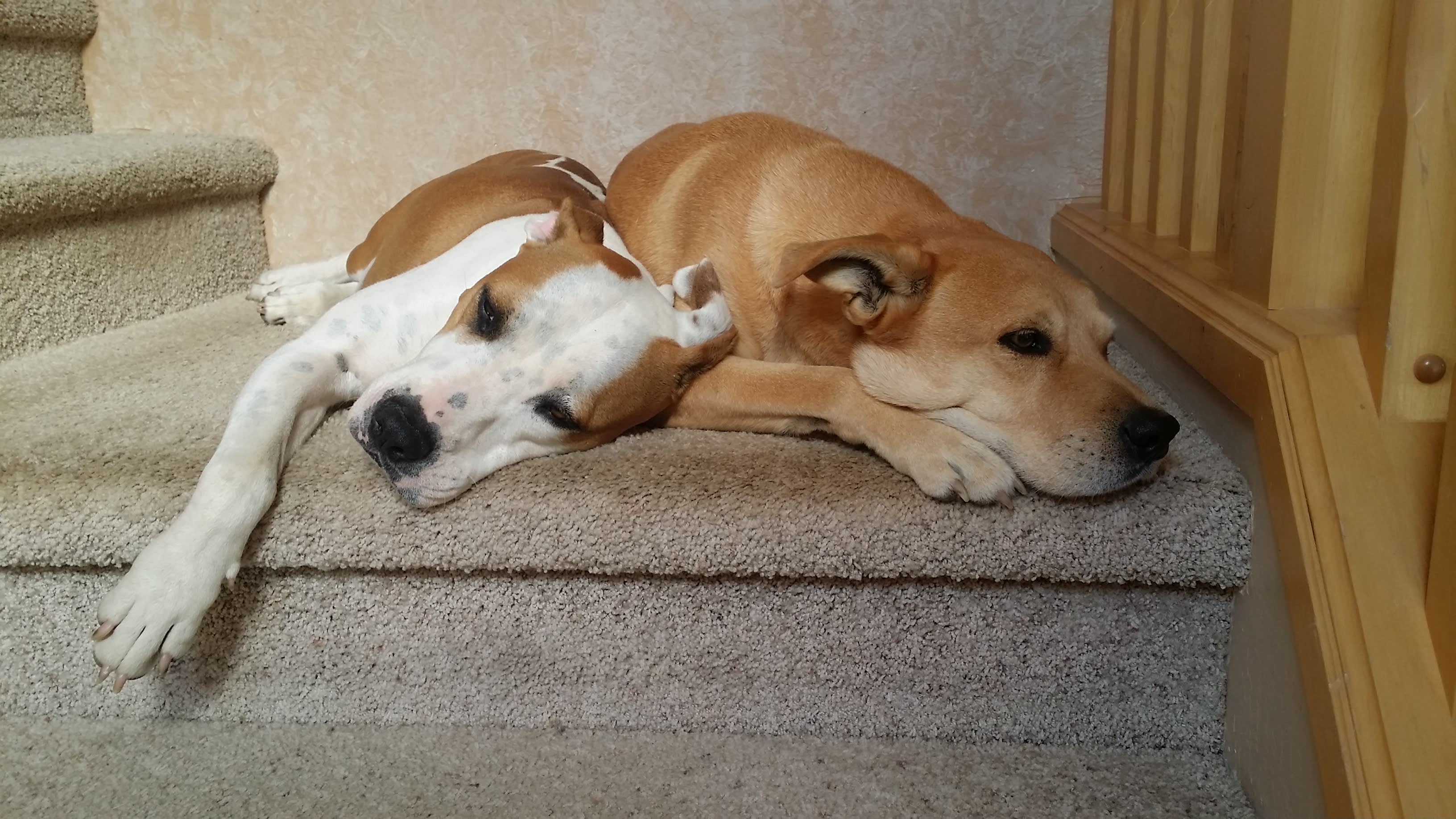 Best Friends
