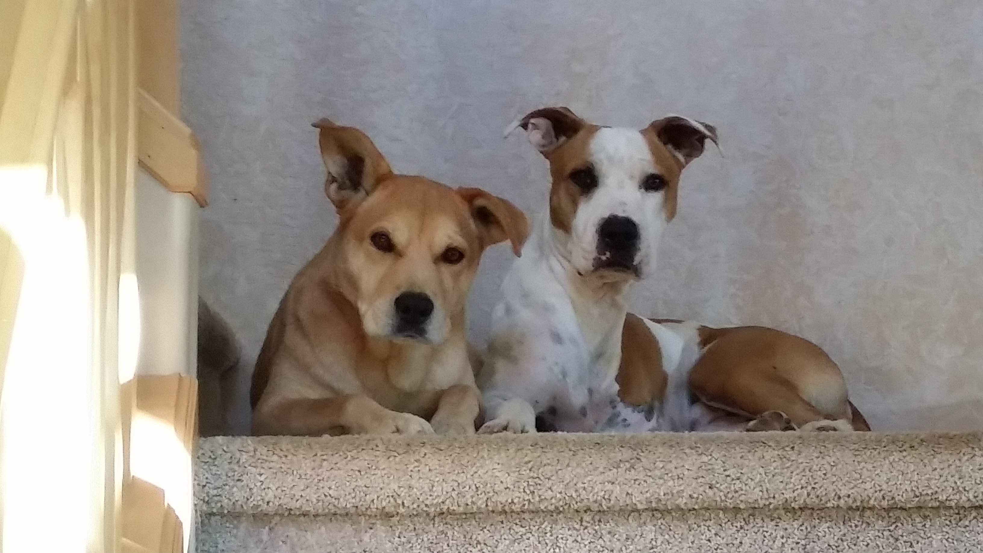 Best Friends