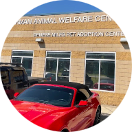 Norman Animal Welfare Shelter