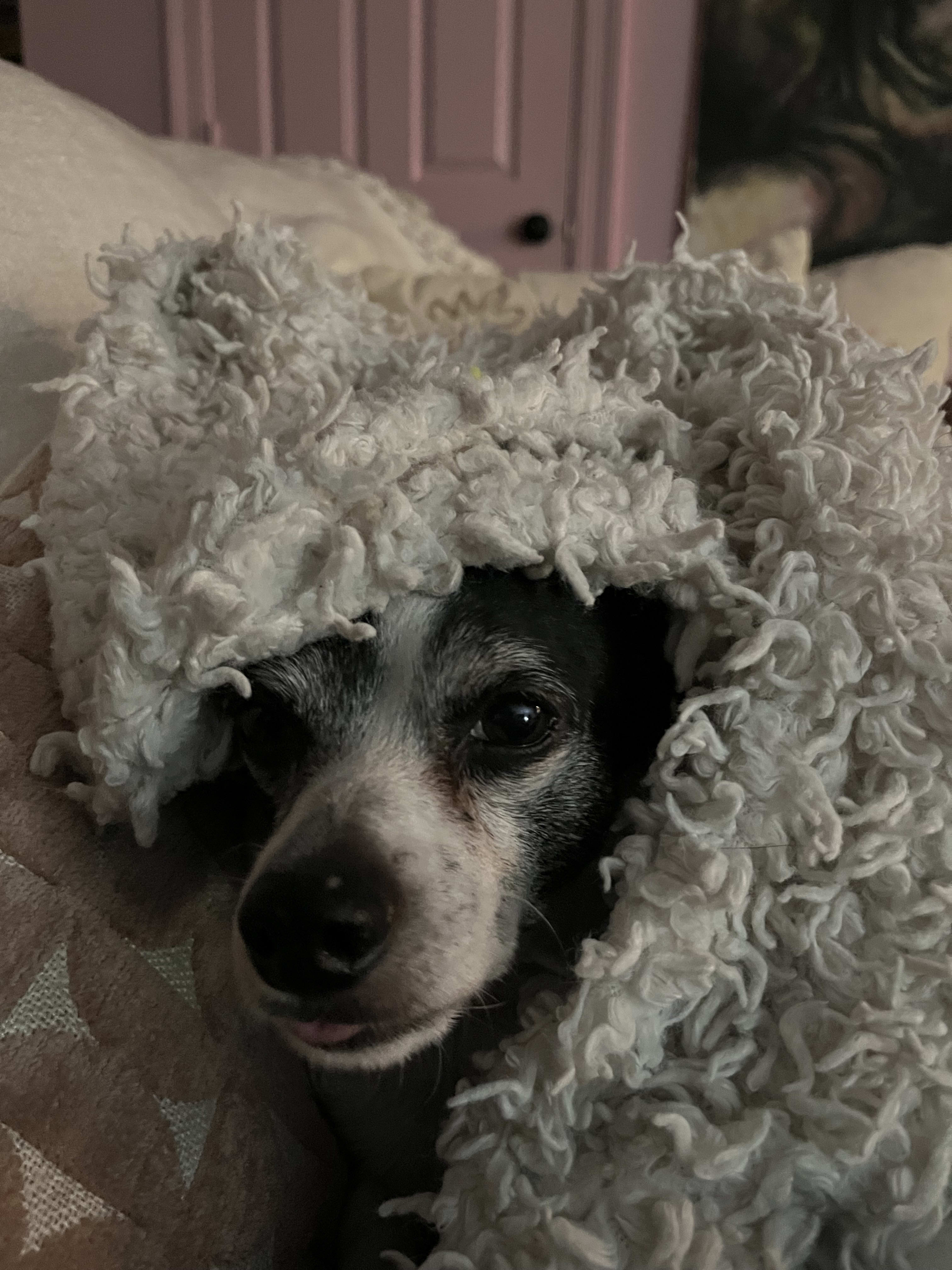 Pablo Pablo
