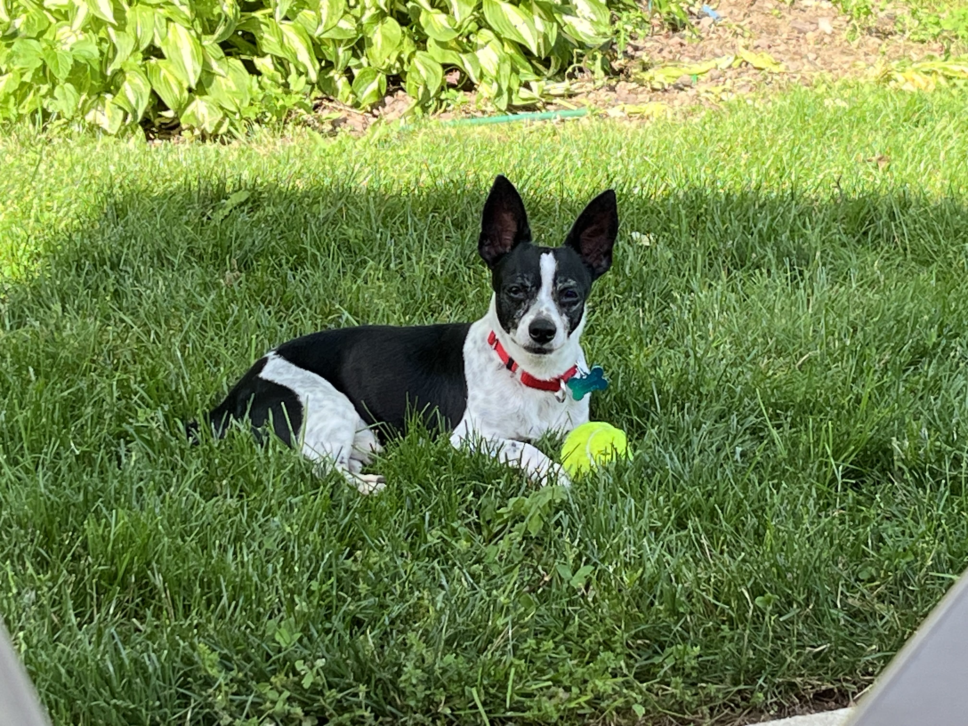 Pablo Pablo