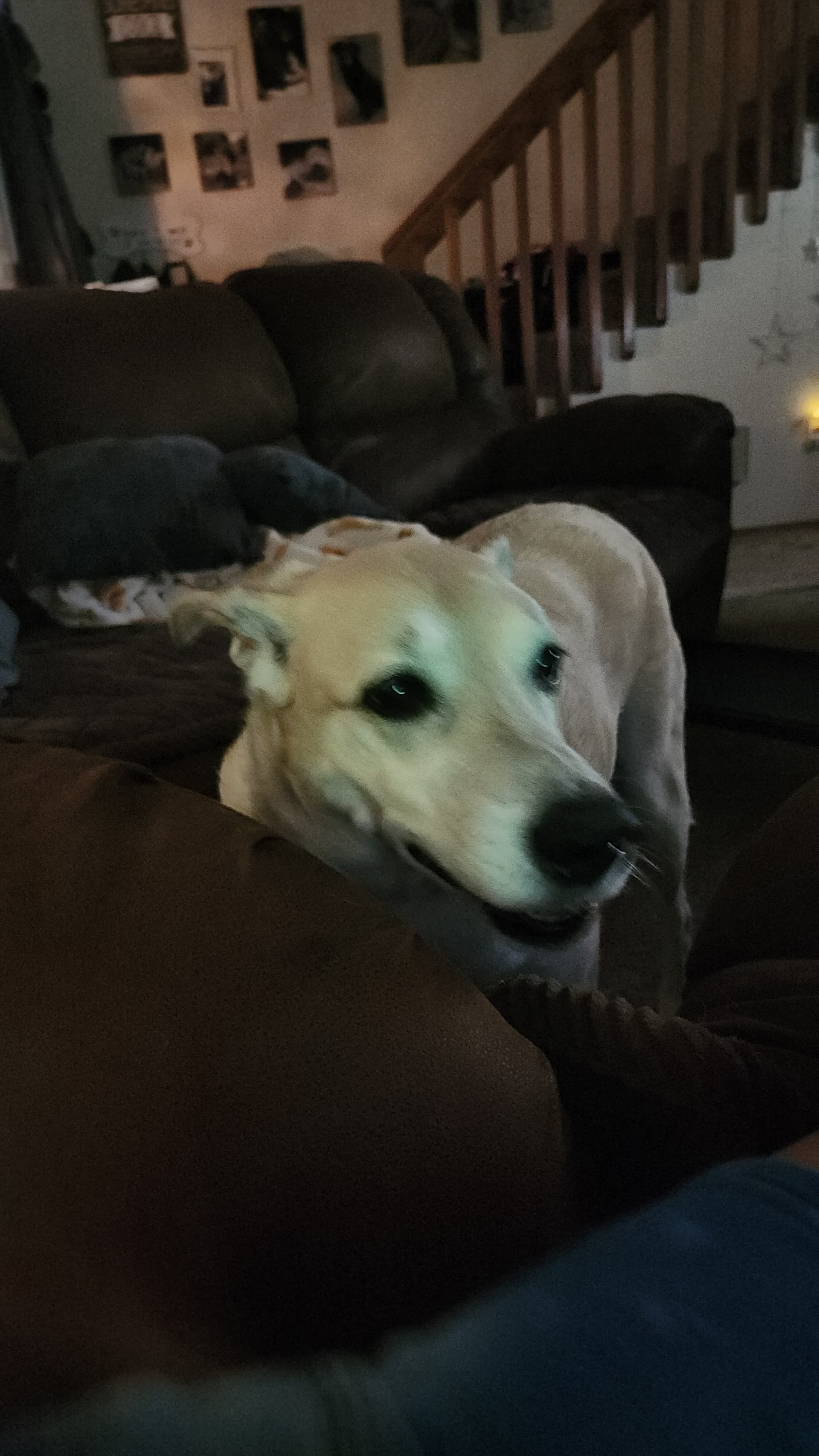 Roscoe