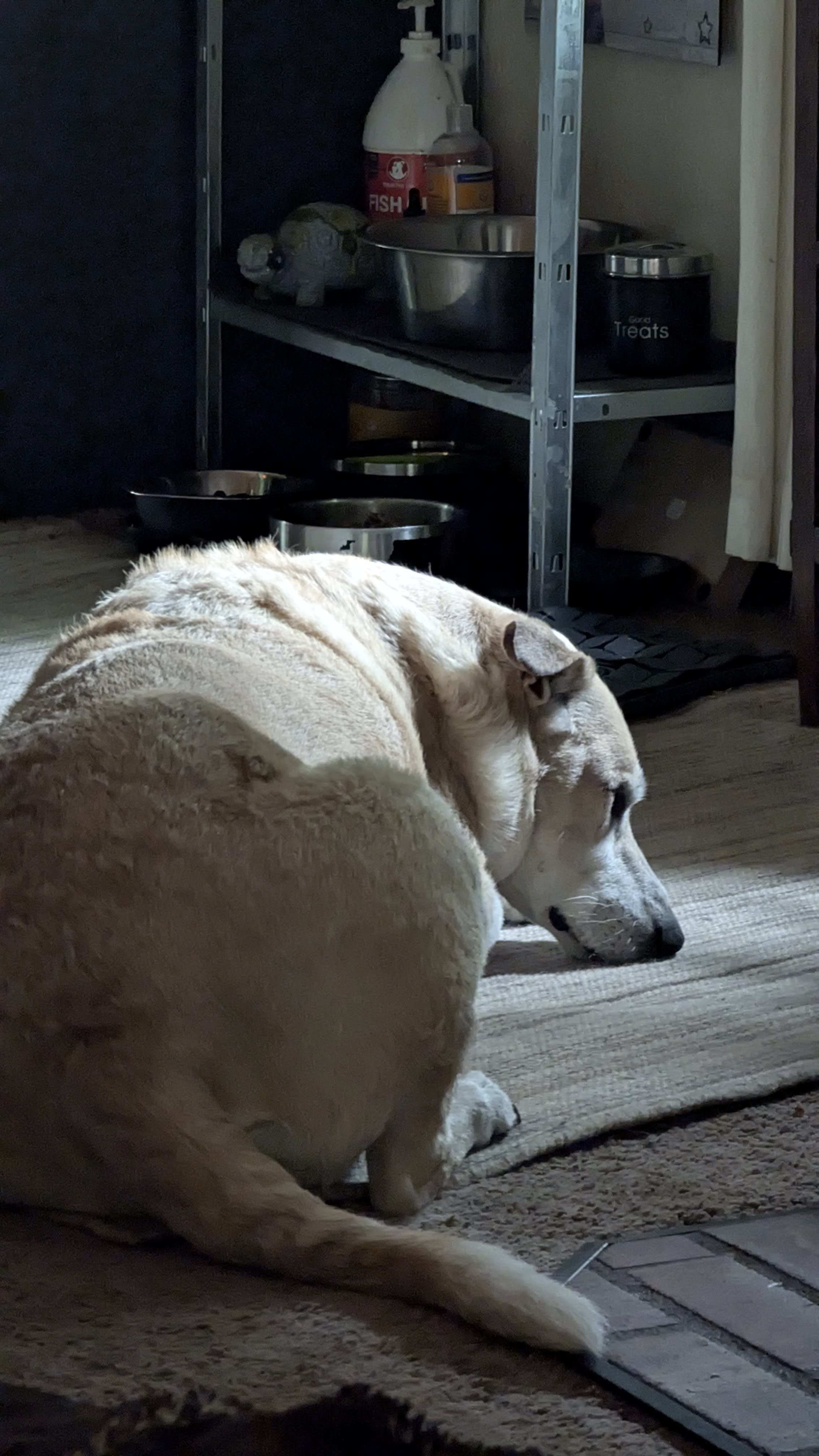 Roscoe