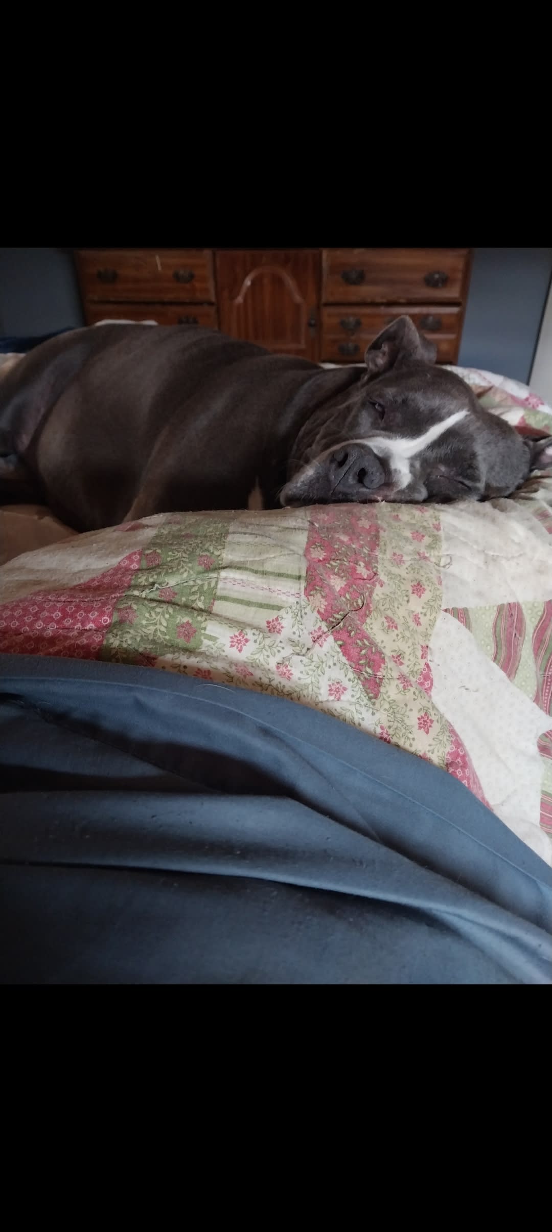 Daisy Mae Daisy Mae