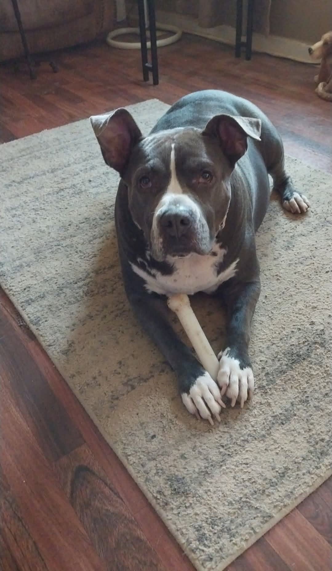 Daisy Mae Daisy Mae