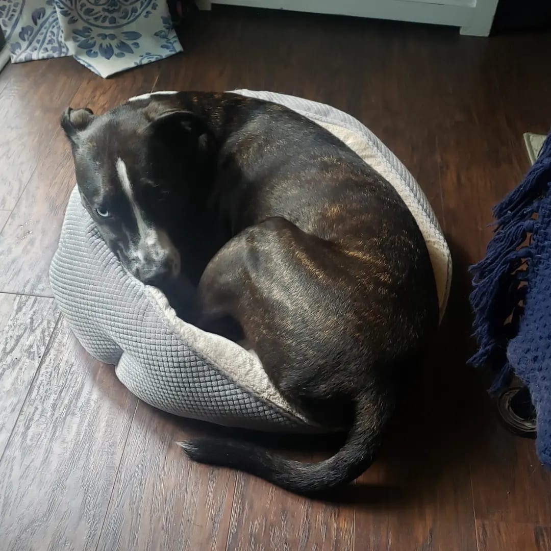 Brady and Luna