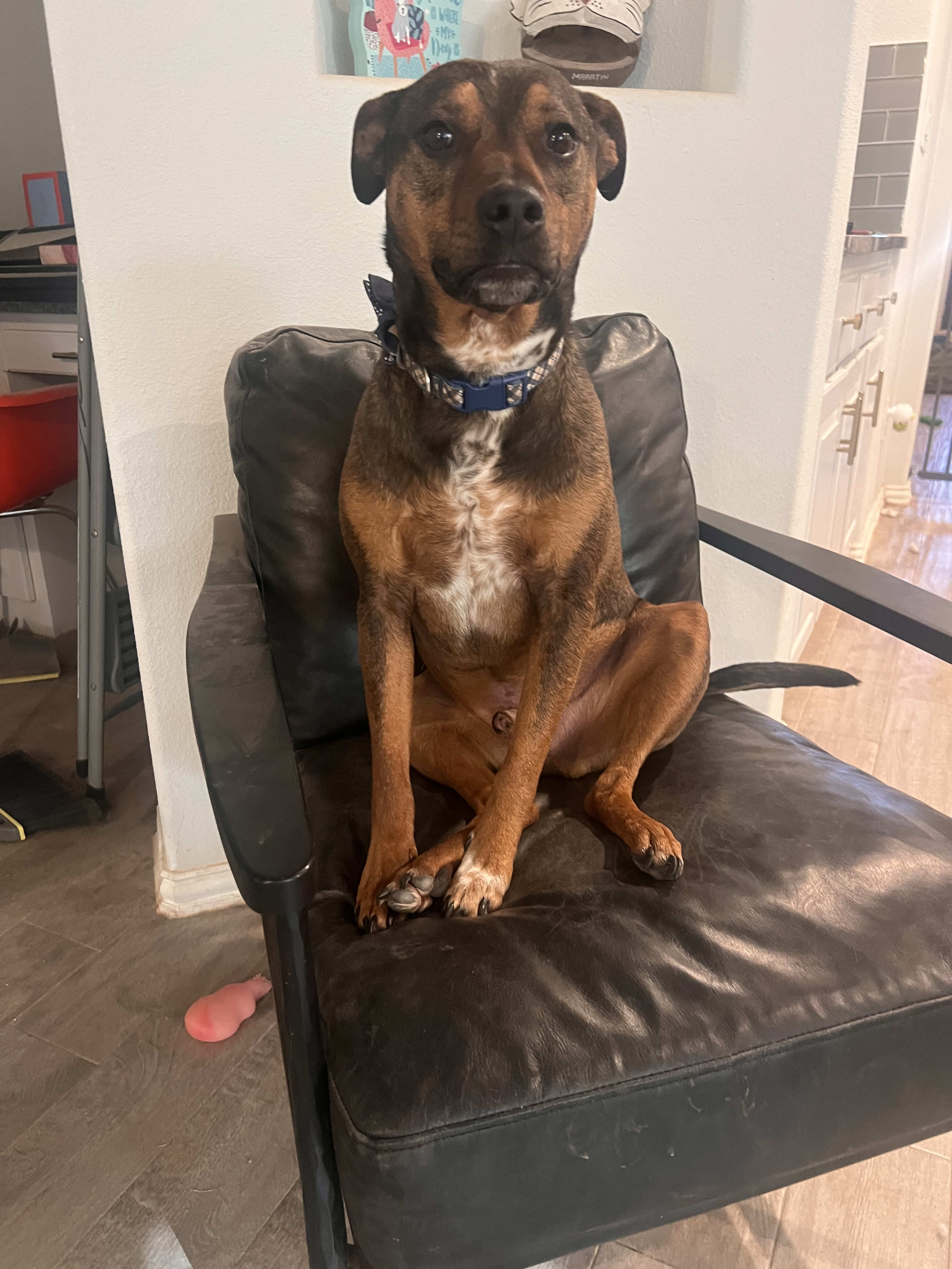 Cain Cain