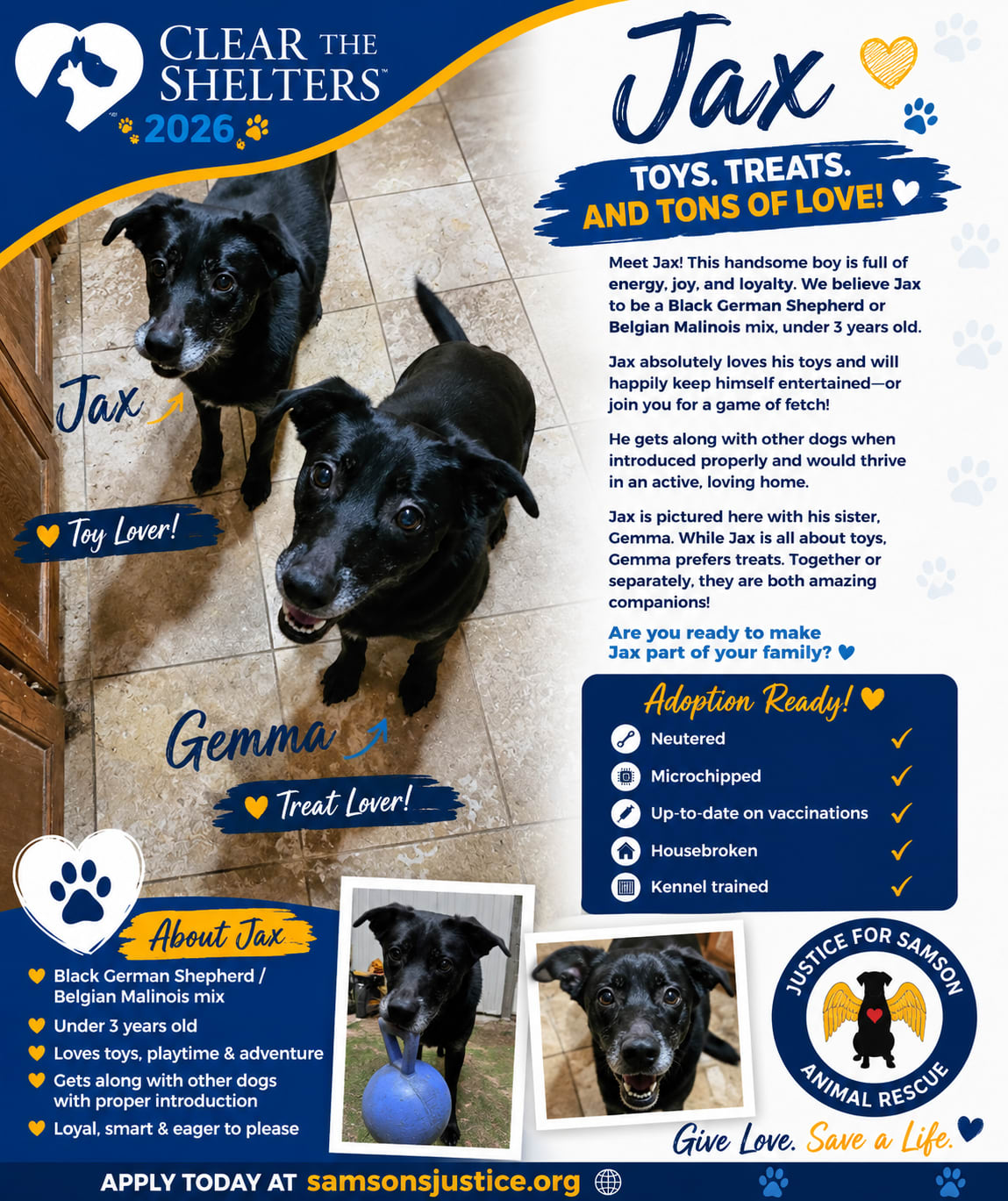 Adopted Happy tails furever Alfie Adopted Happy tails furever Alfie