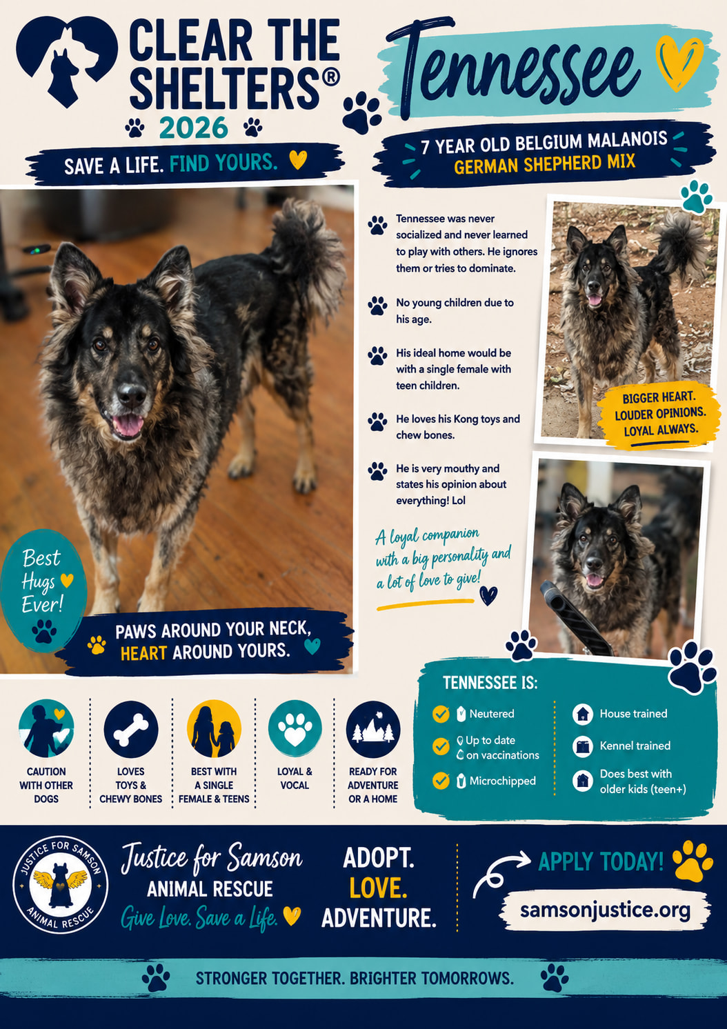 Adopted Happy tails furever Alfie Adopted Happy tails furever Alfie