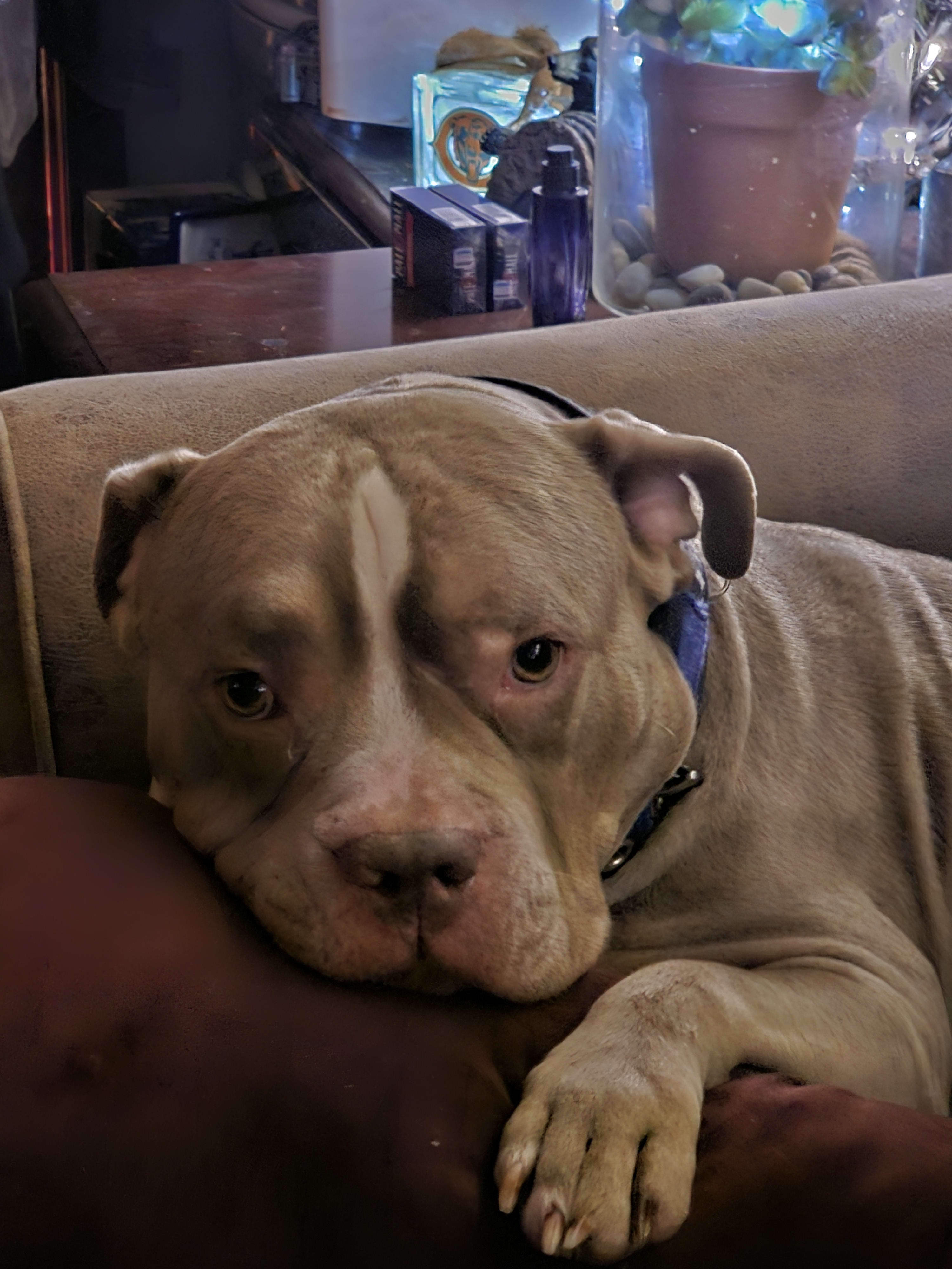 Xena
