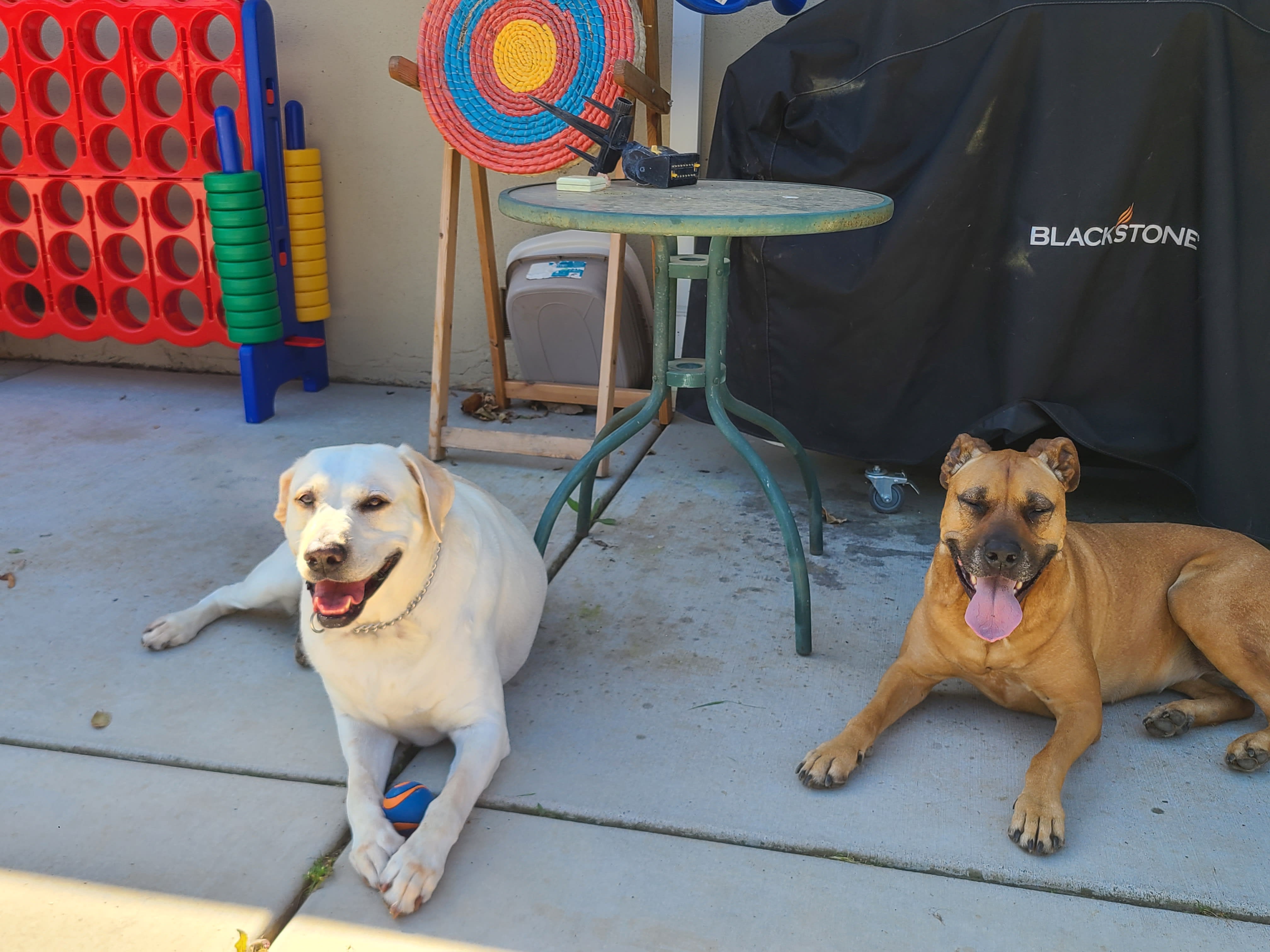 Jesse and Copper
