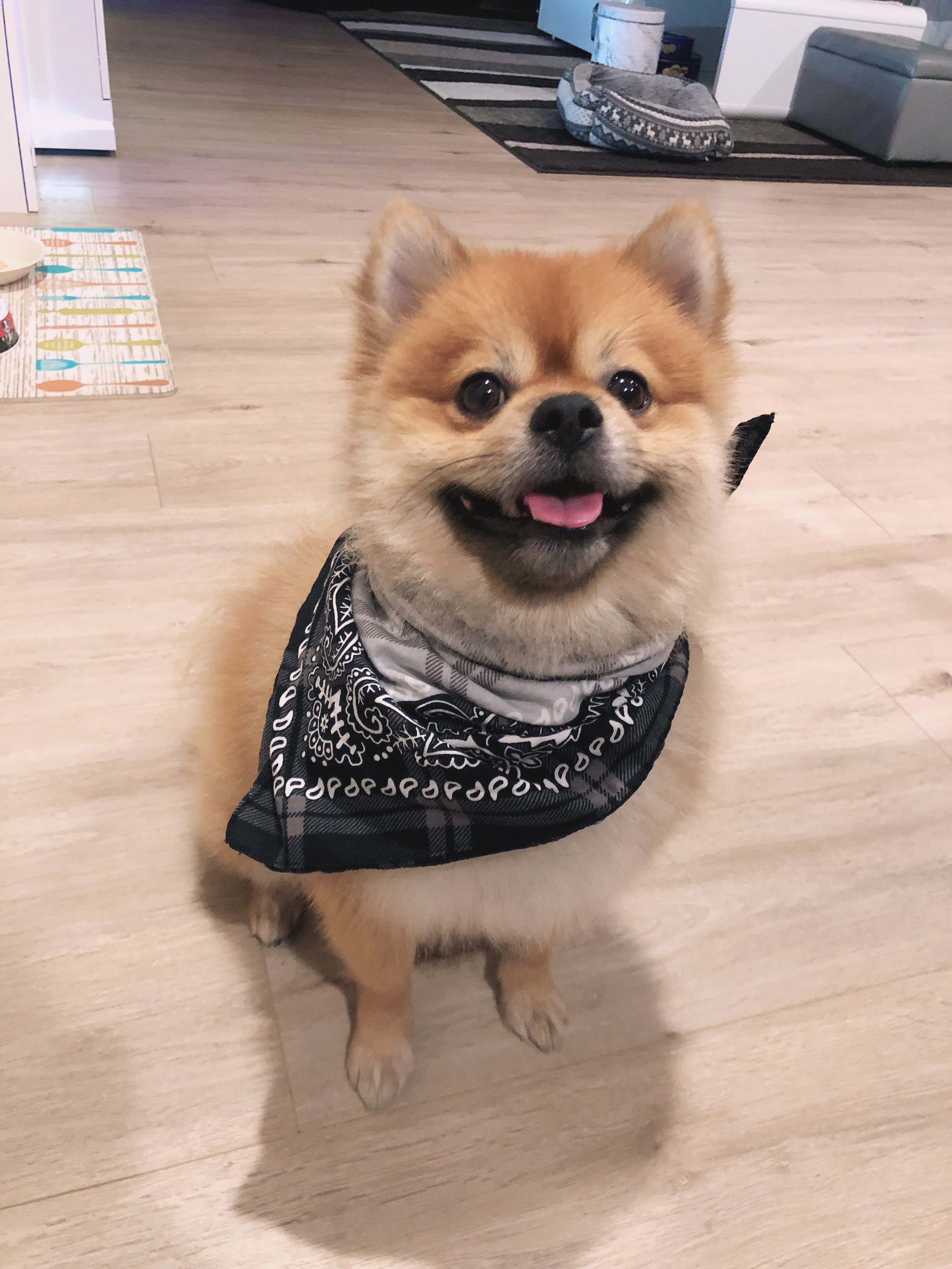 Kobi