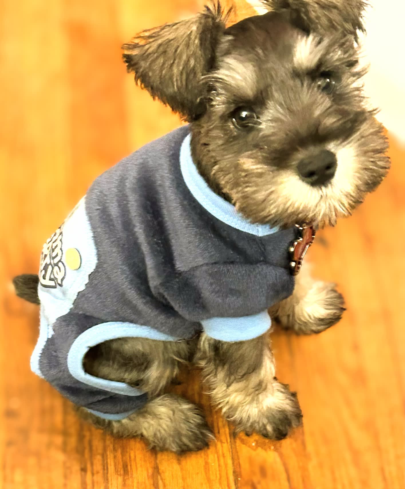 Max