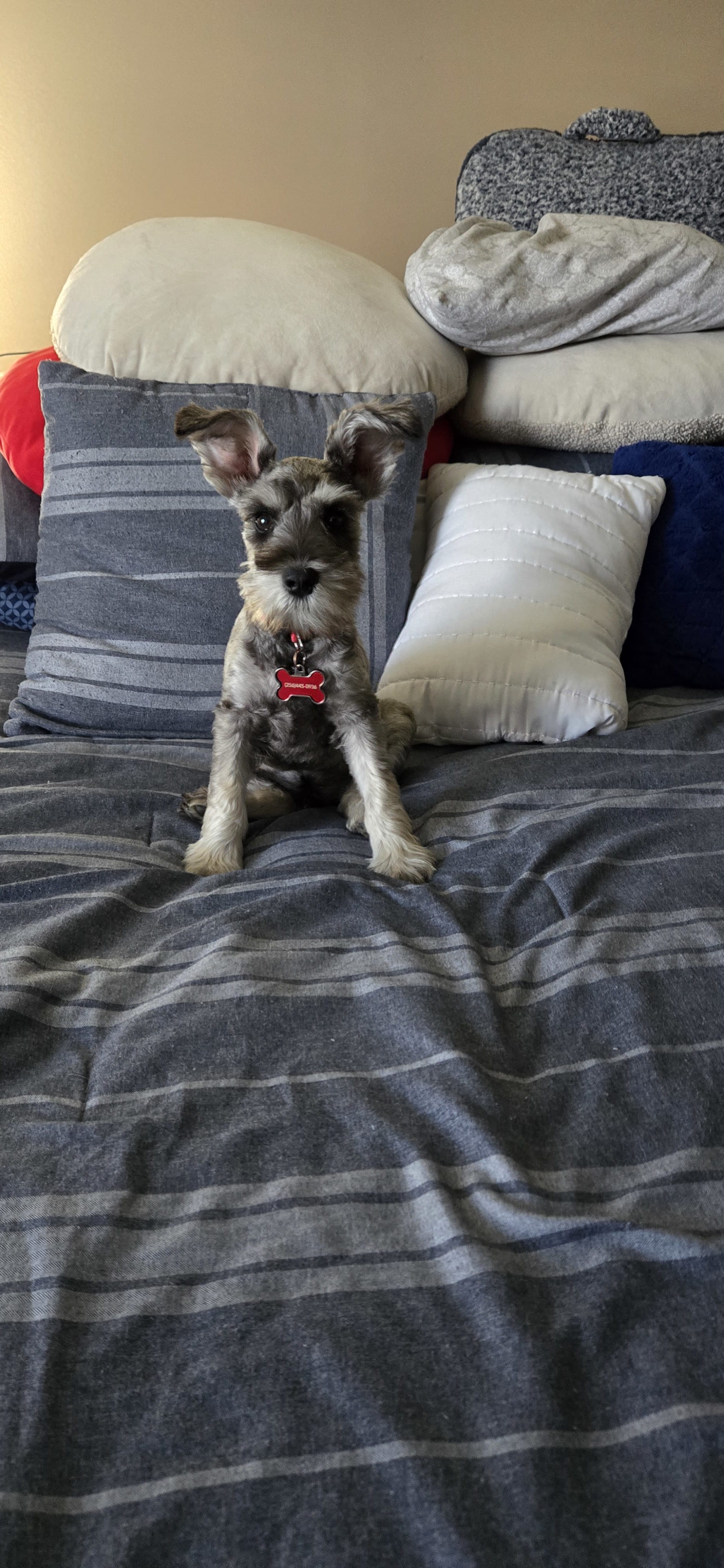 Max